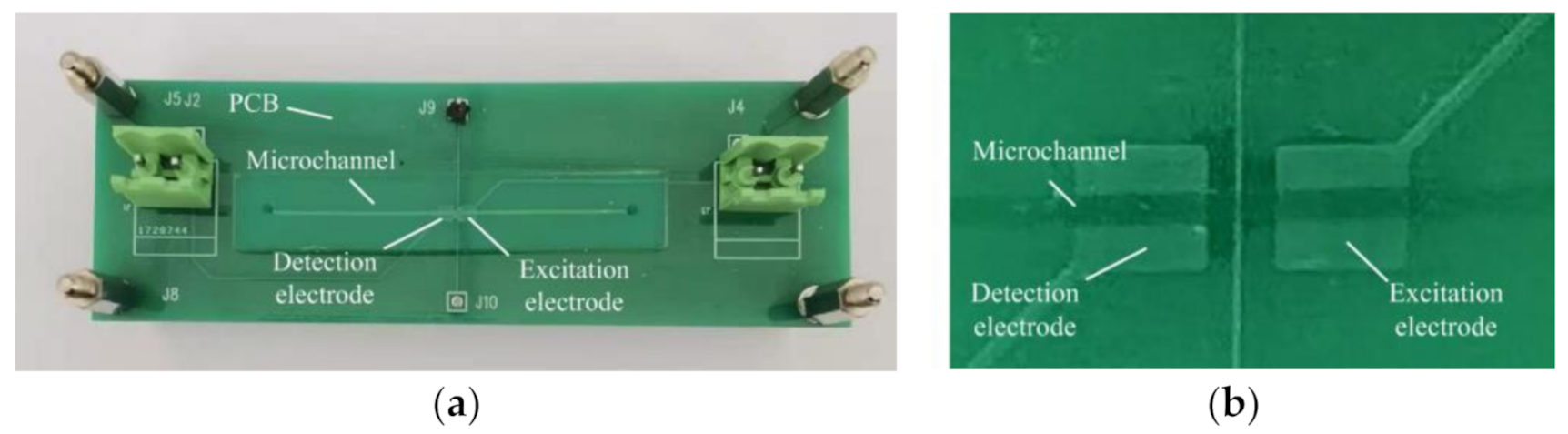 Sensors 21 06381 g002