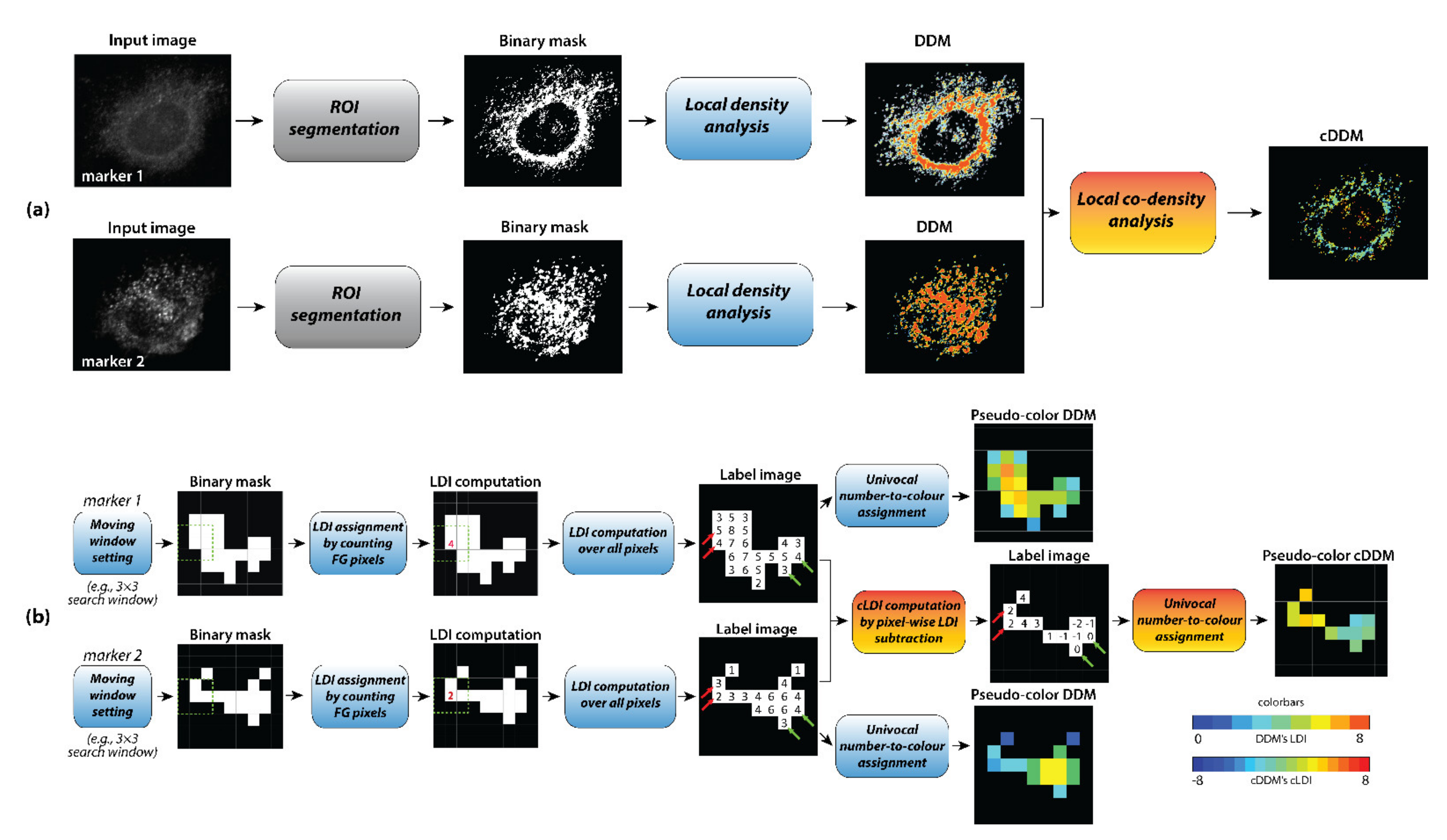 Sensors 21 06385 g001