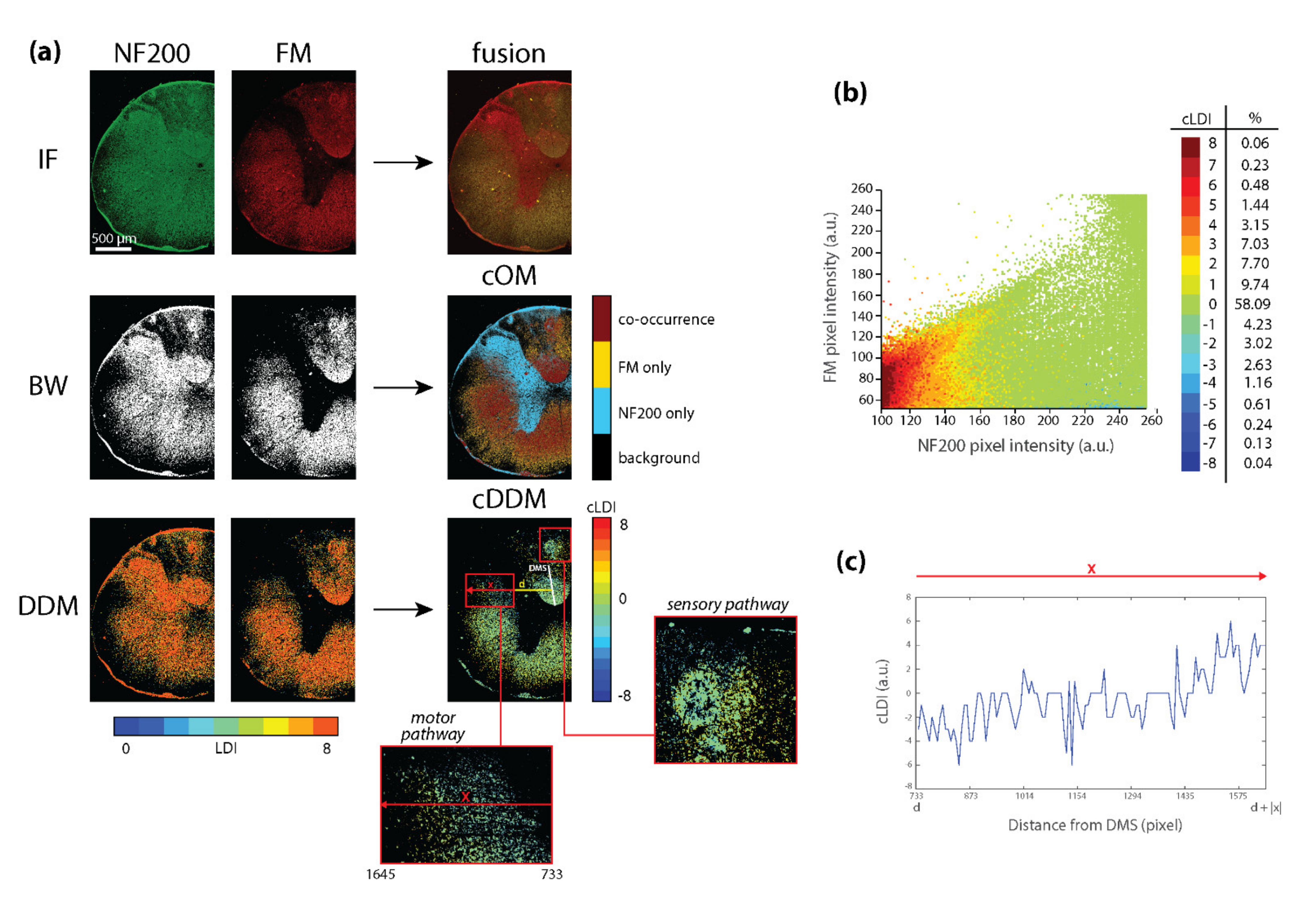 Sensors 21 06385 g004