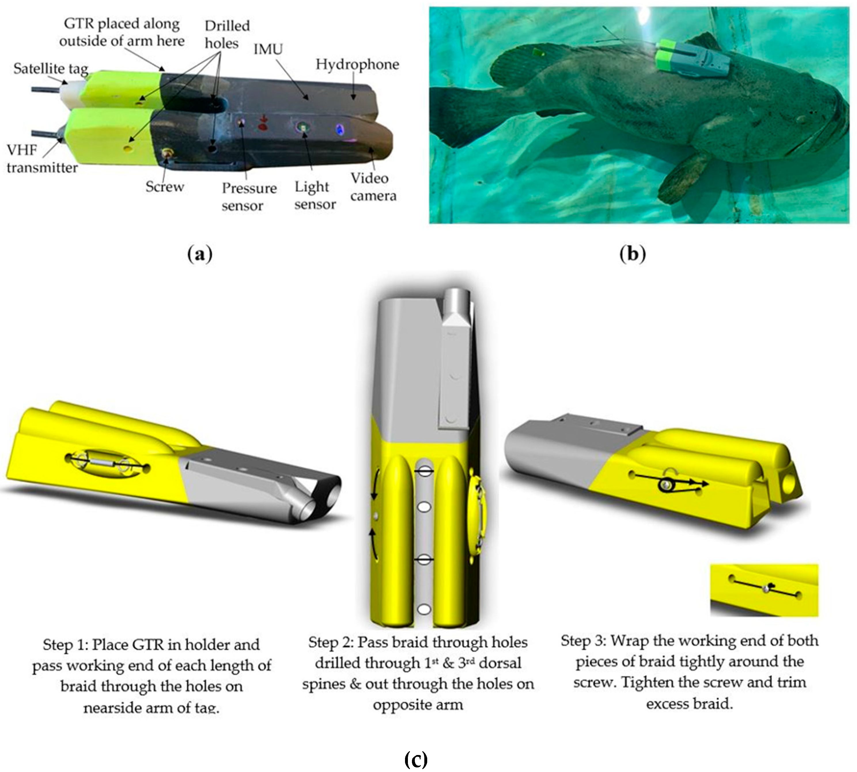 Sensors 21 06392 g003