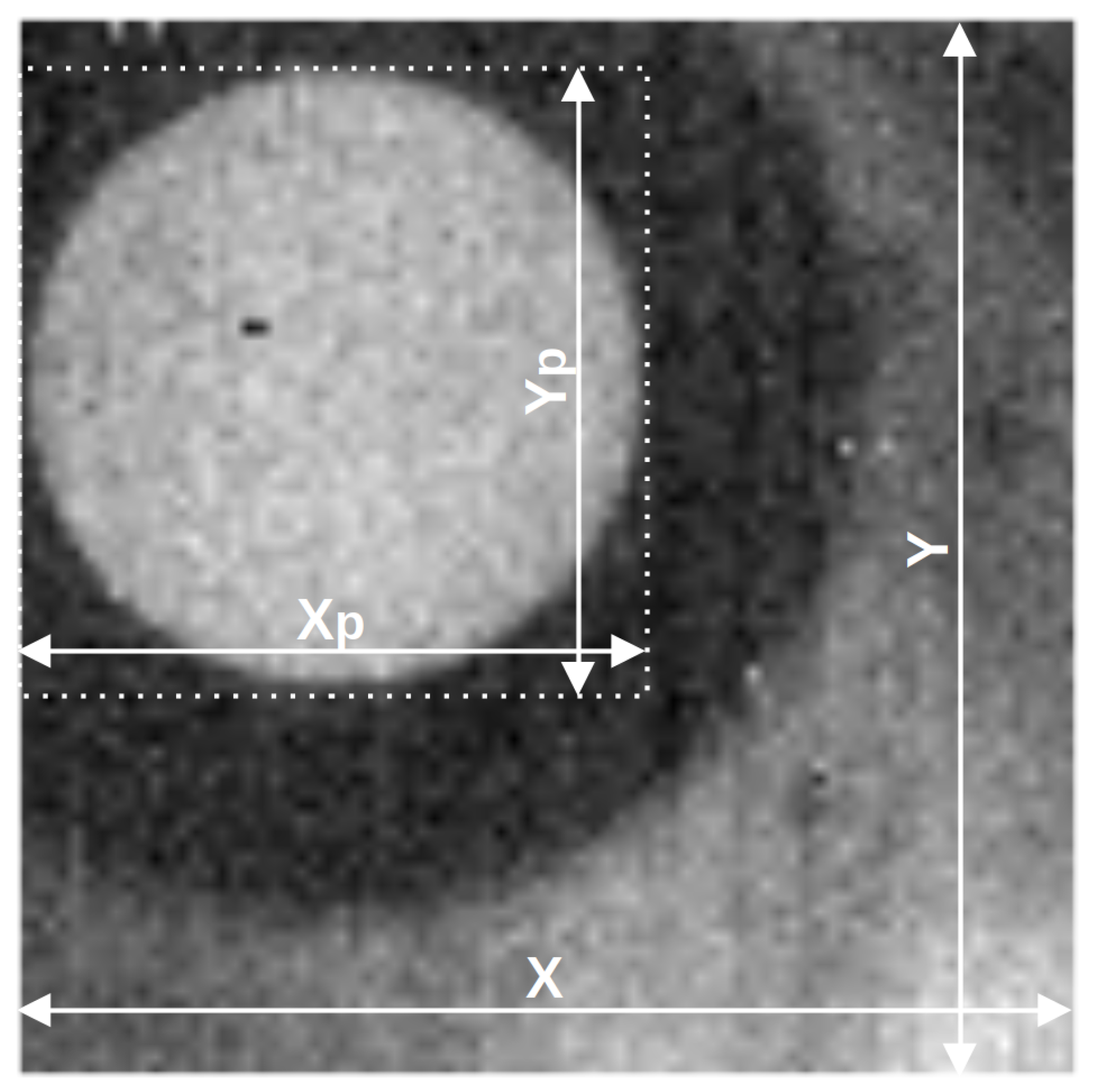 Sensors 21 06395 g004