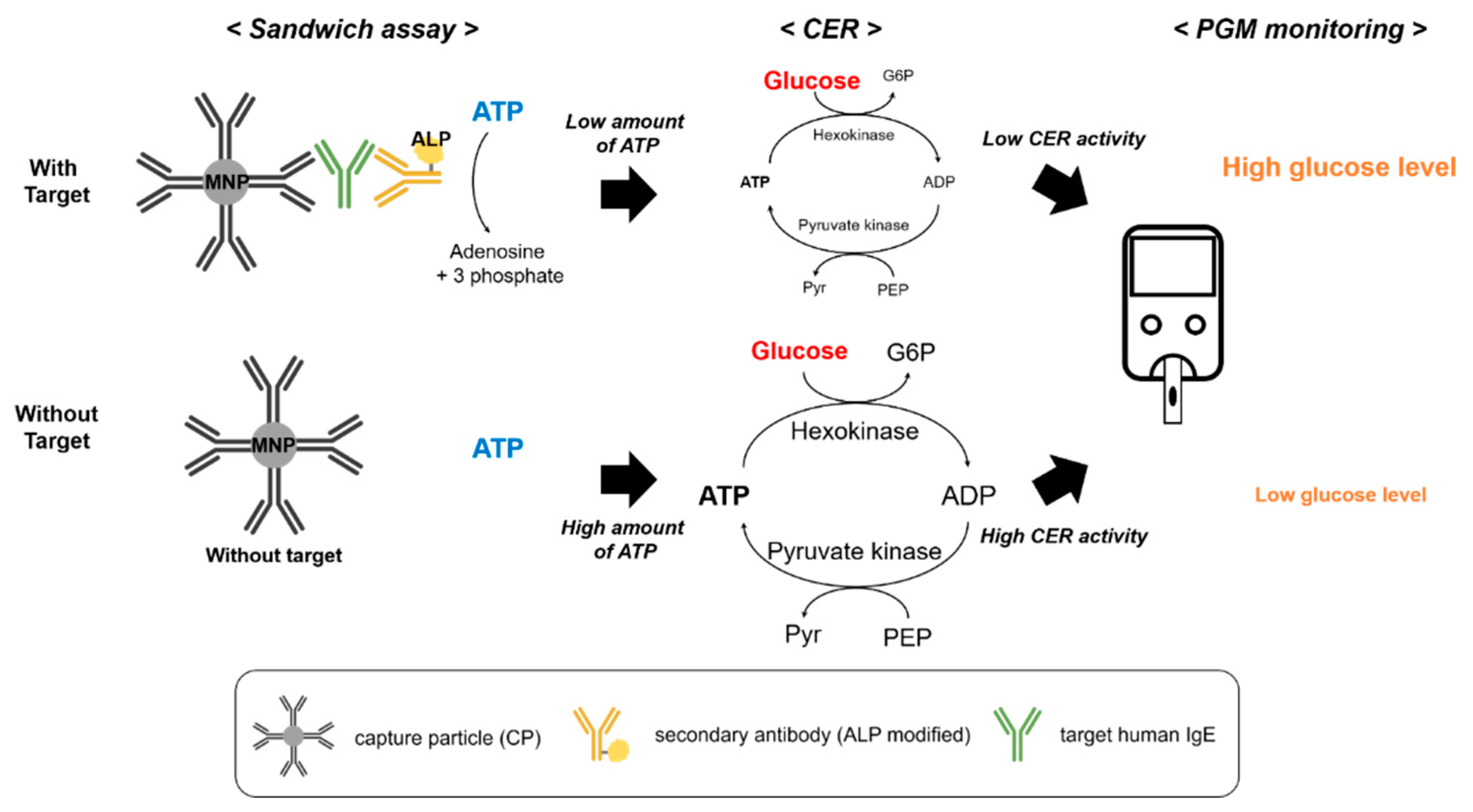 Sensors 21 06396 g001