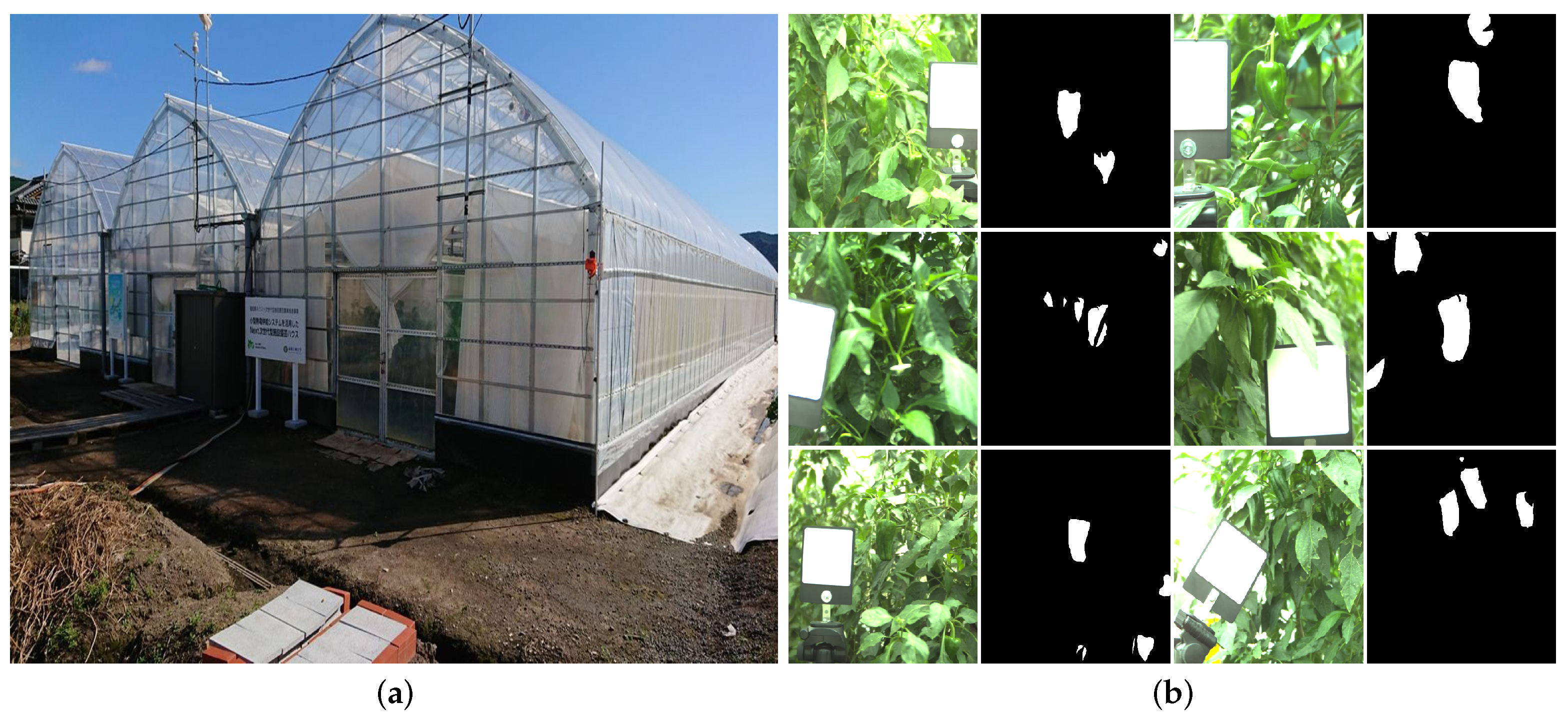 Sensors 21 06437 g002 Sensors 21 06437 g002