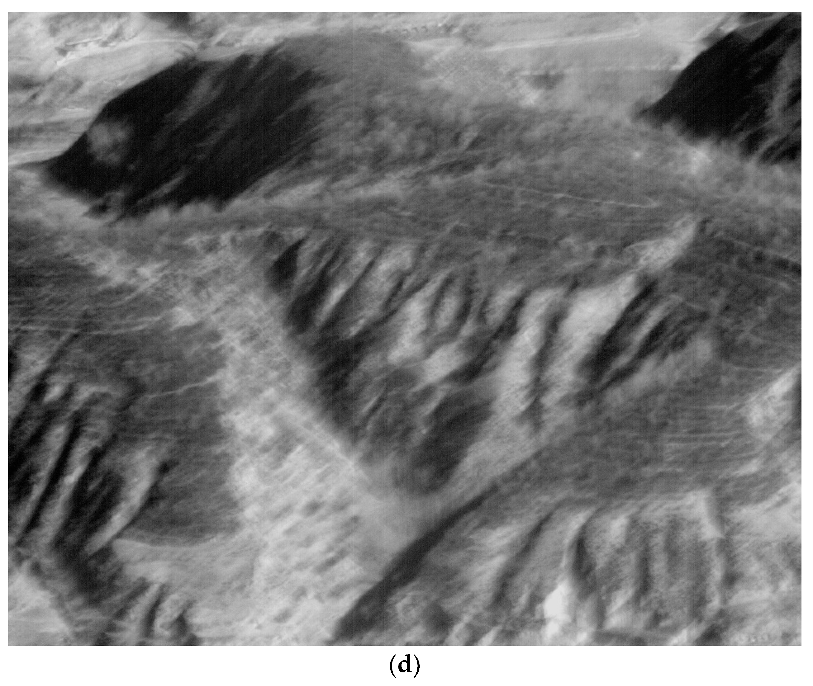 Sensors 21 06441 g019c