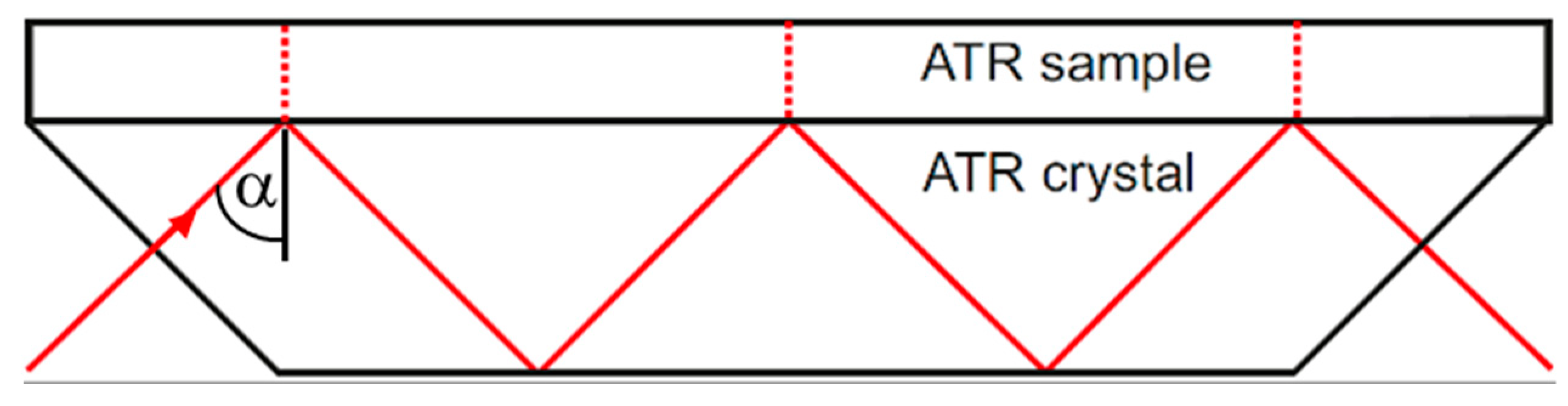Sensors 21 06442 g002