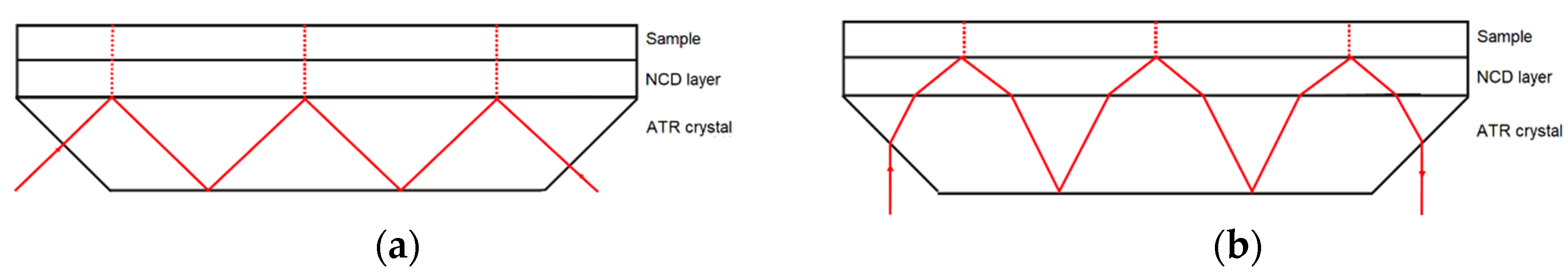 Sensors 21 06442 g004
