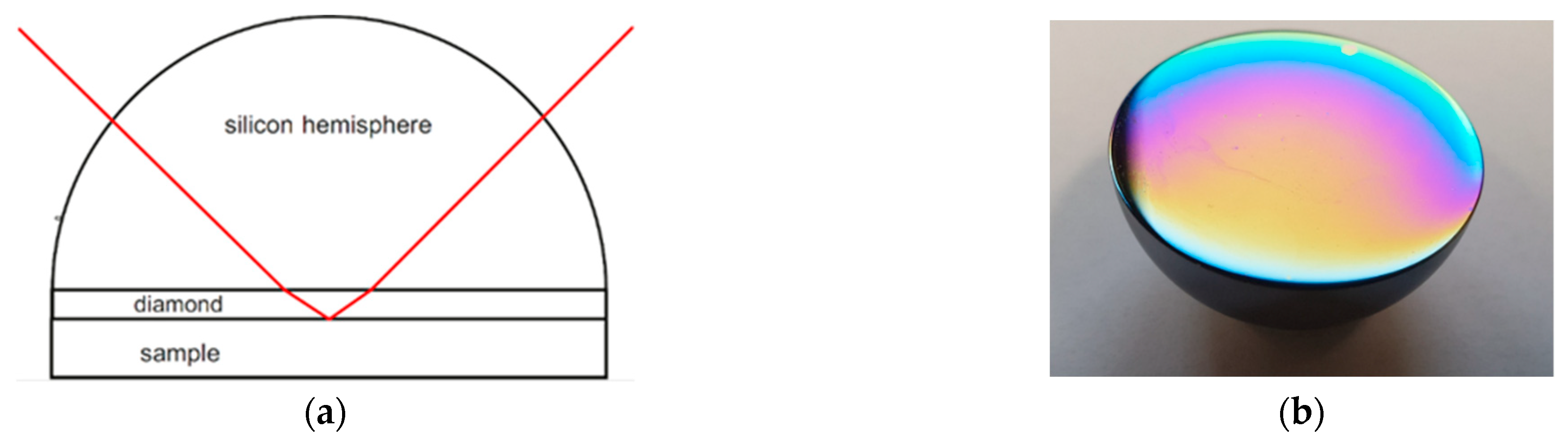 Sensors 21 06442 g007