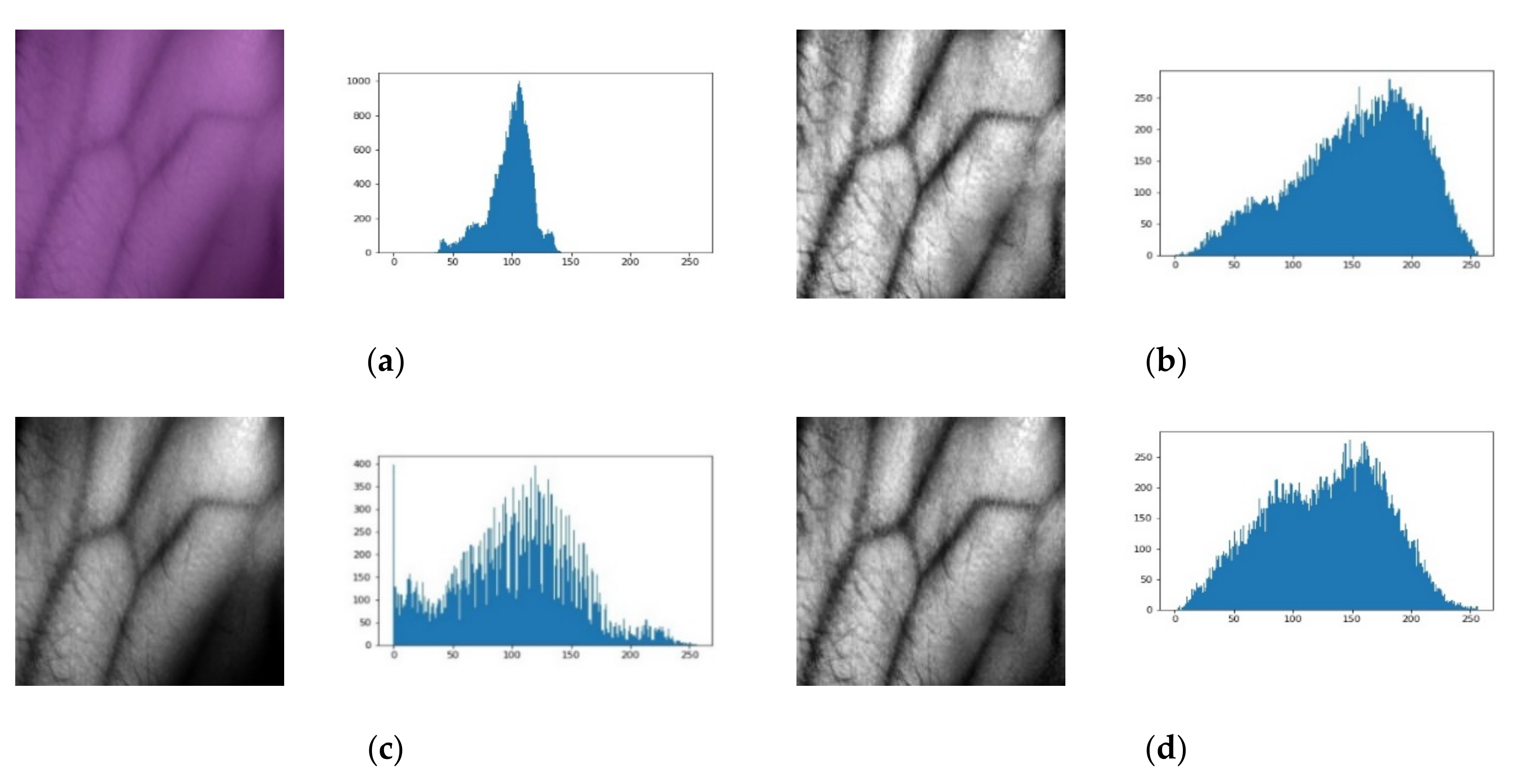 Sensors 21 06445 g007