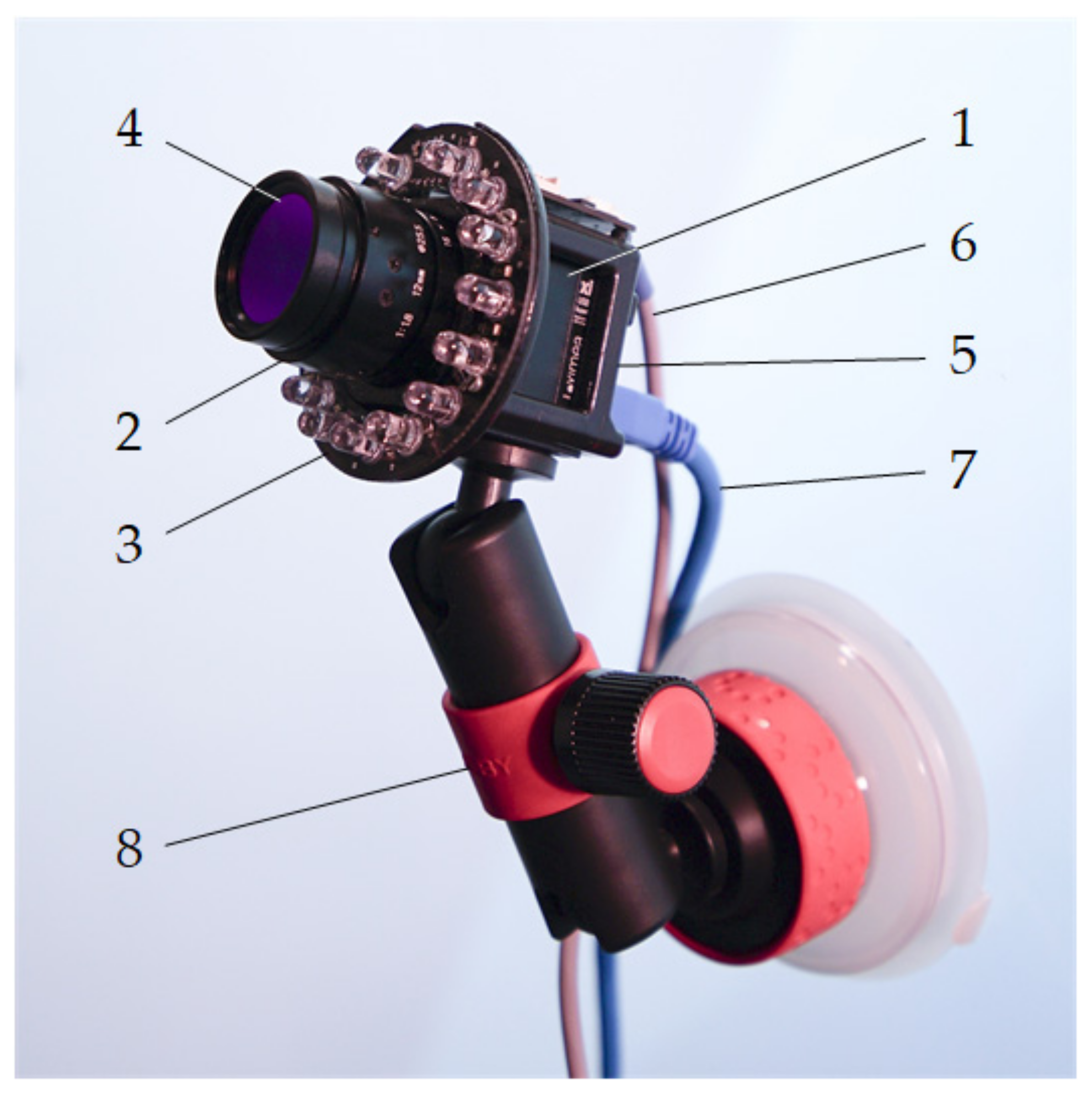 Sensors 21 06449 g001