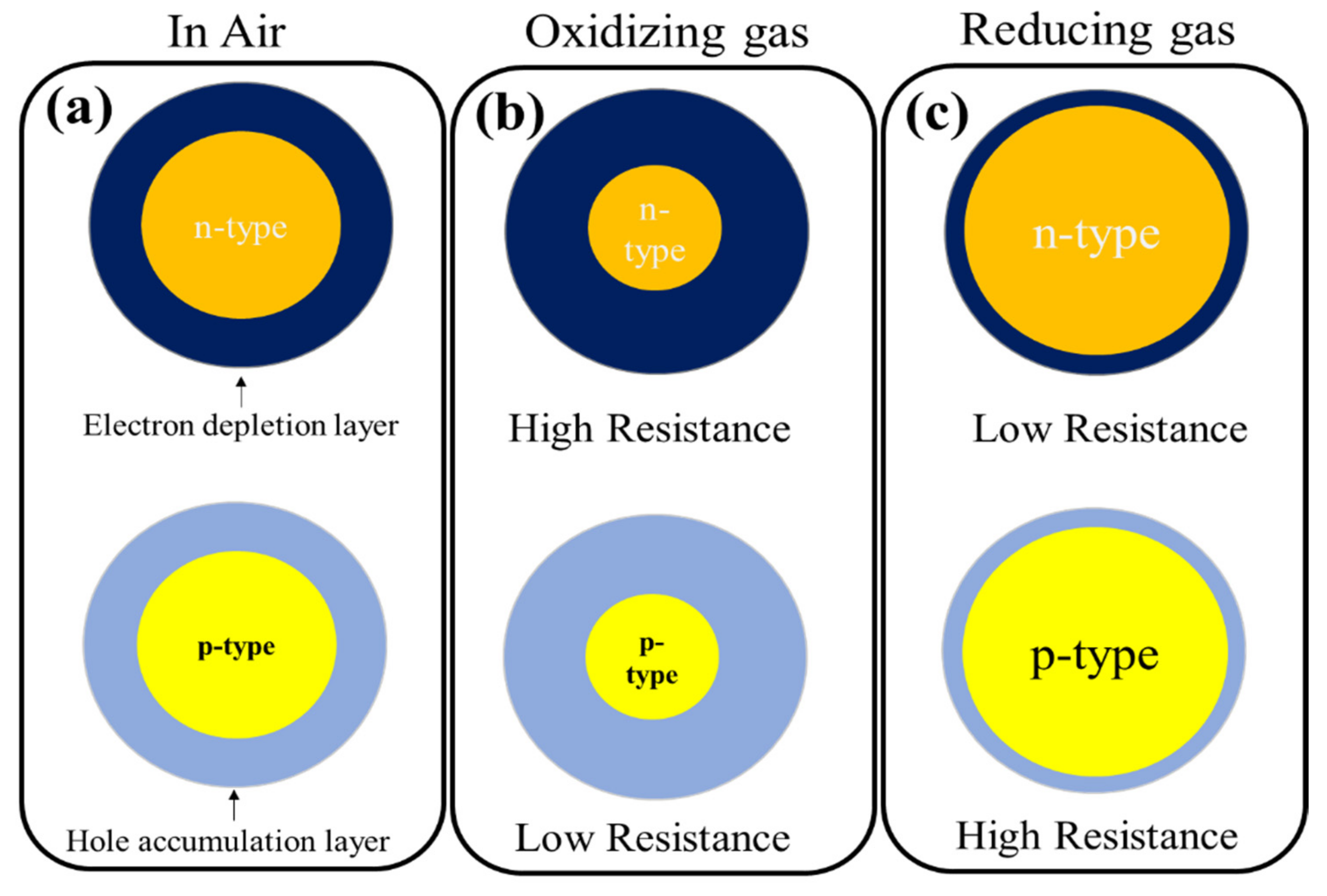 Sensors 21 06454 g001