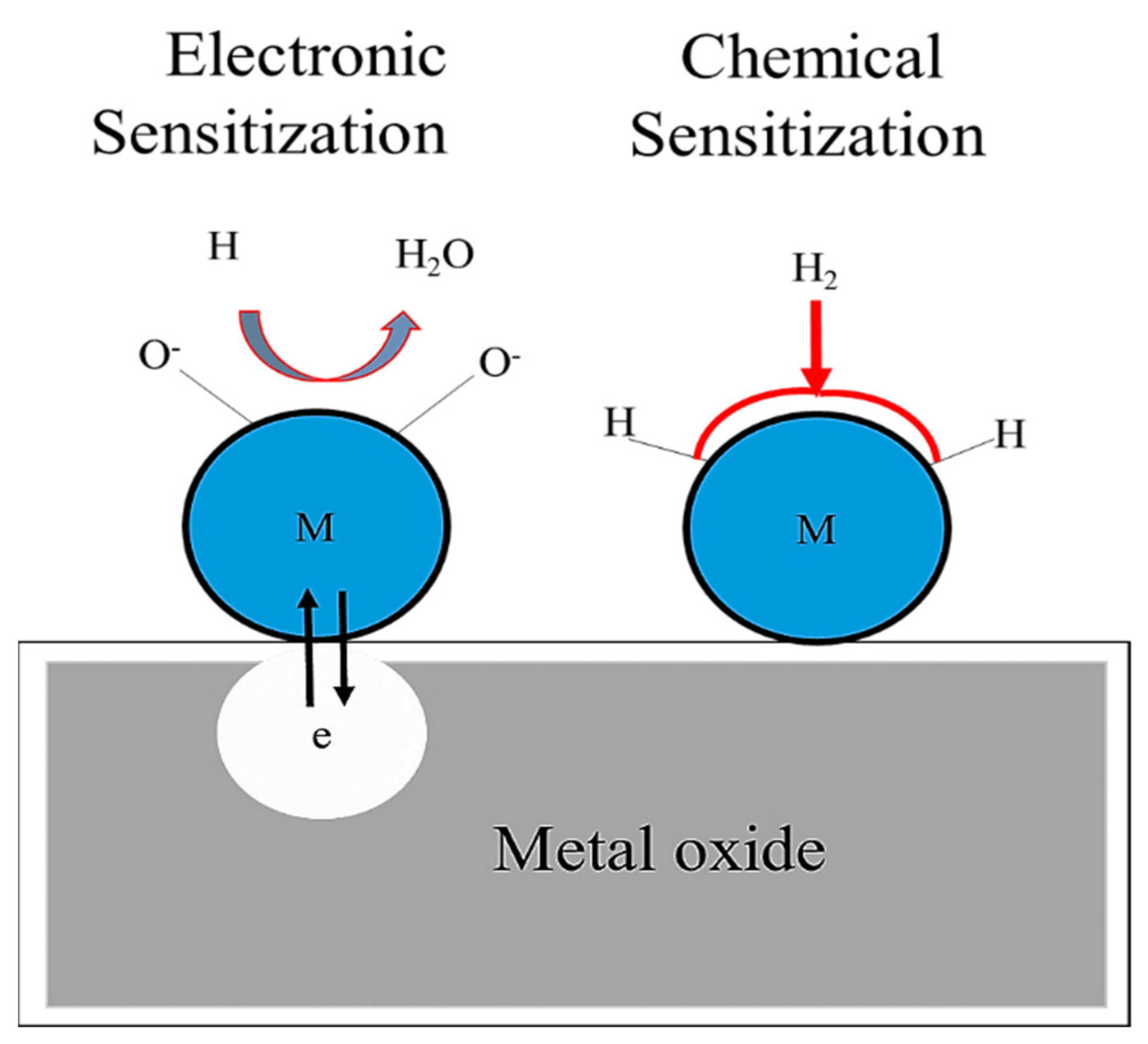 Sensors 21 06454 g002