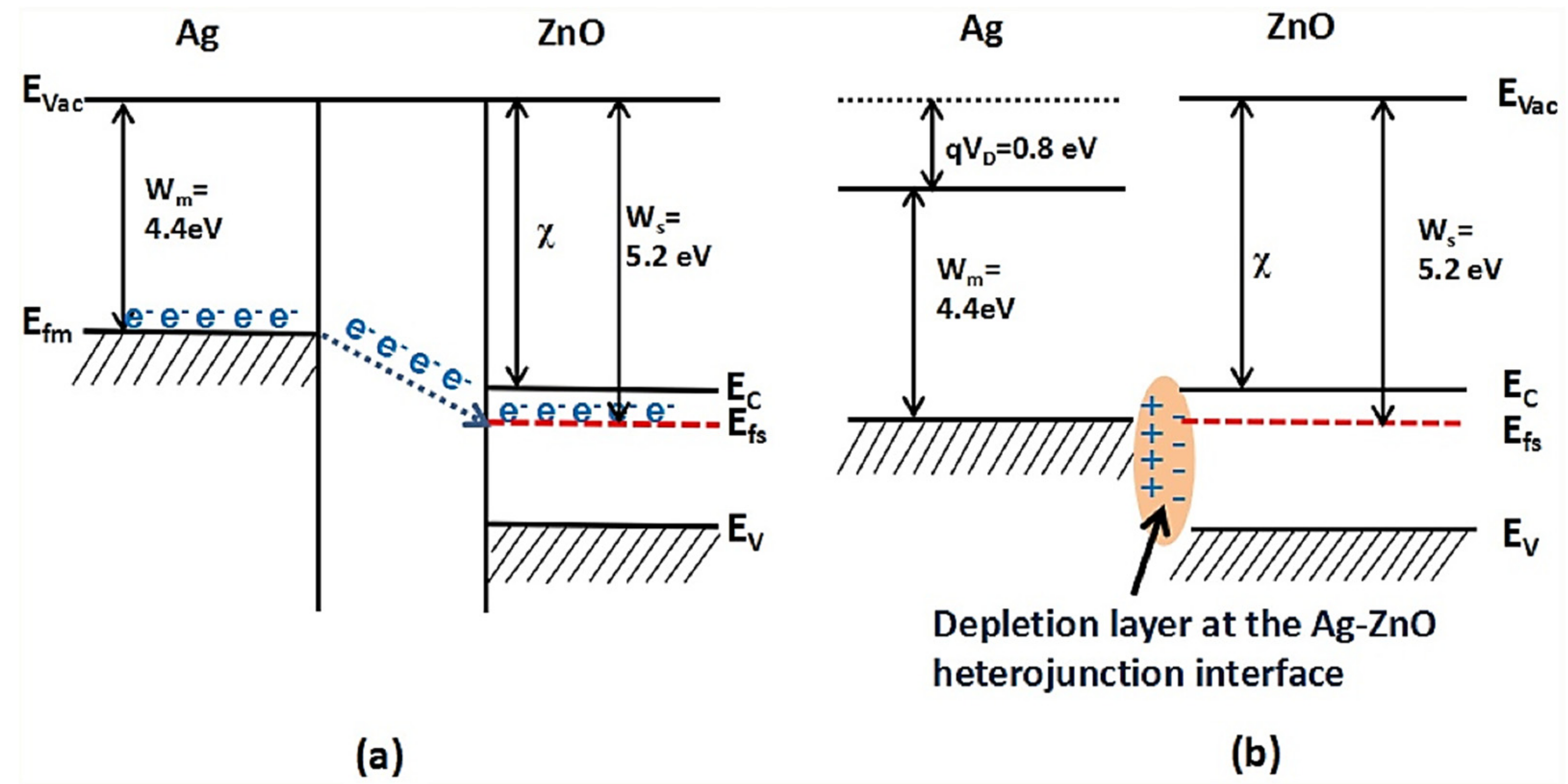 Sensors 21 06454 g008
