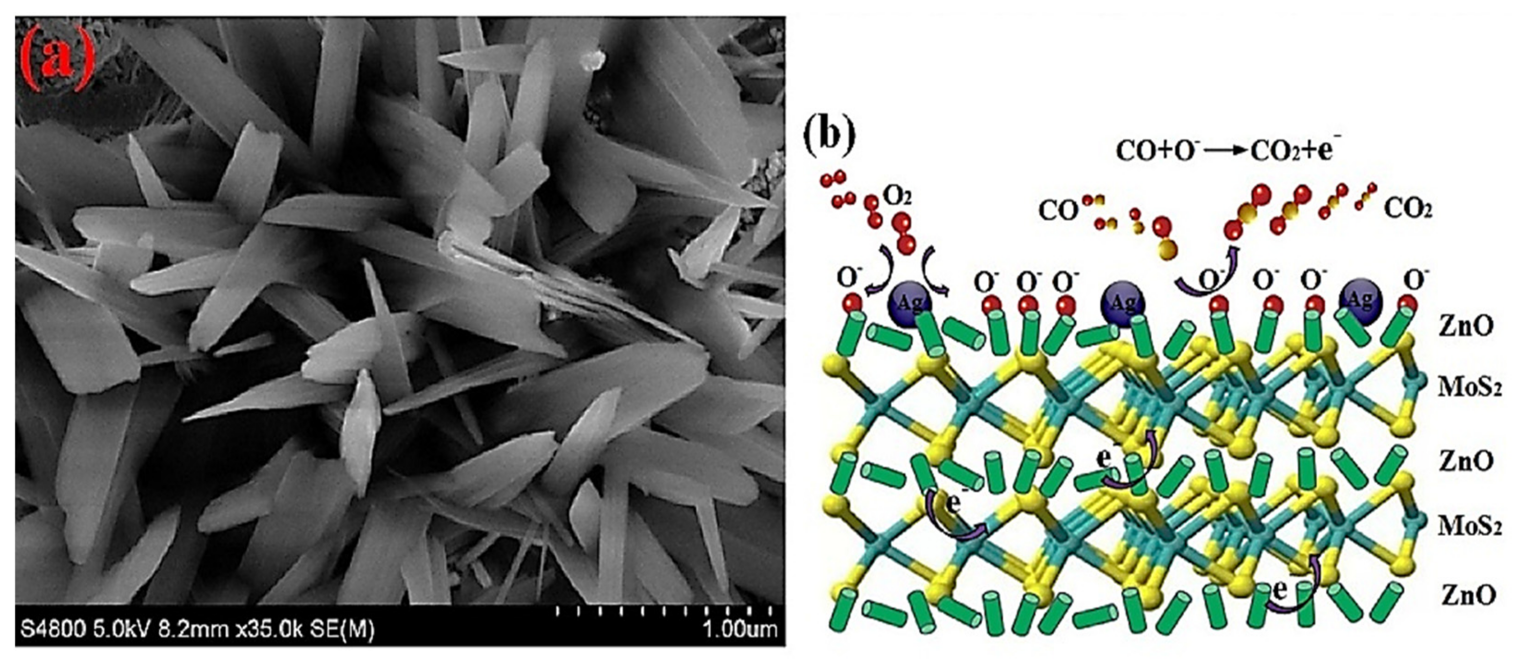 Sensors 21 06454 g009