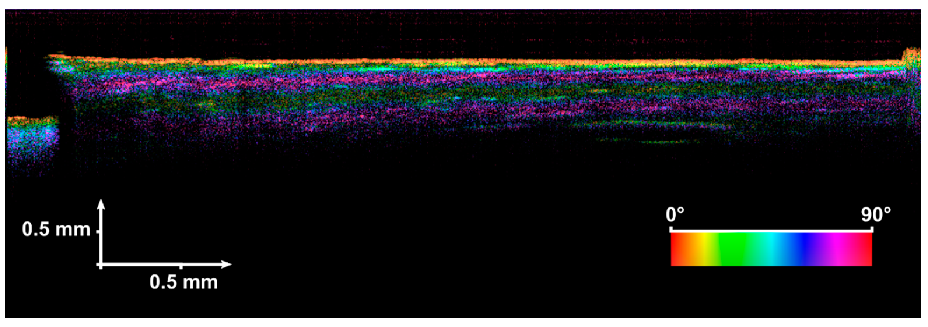 Sensors 21 06468 g003