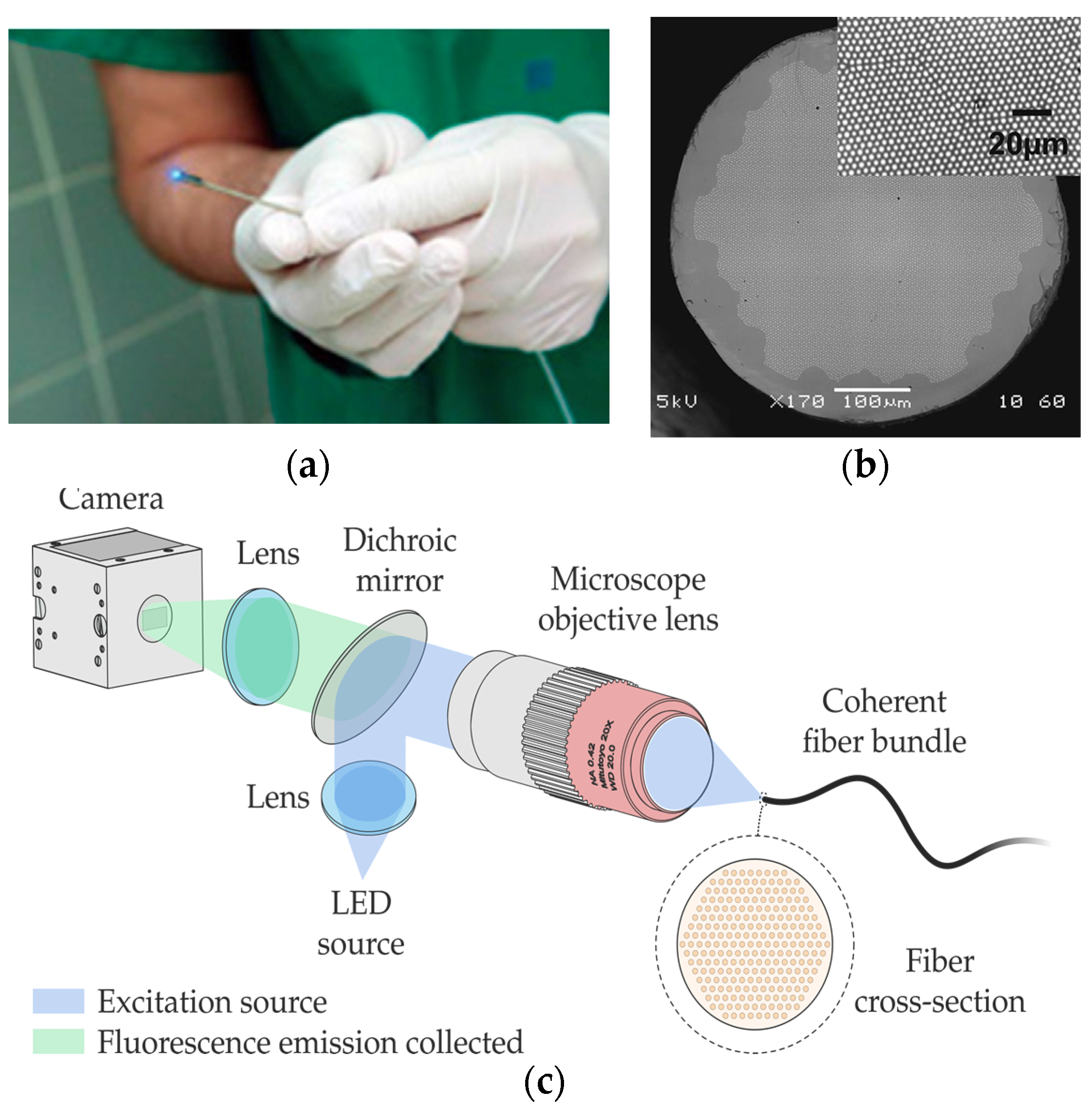 Sensors 21 06469 g009