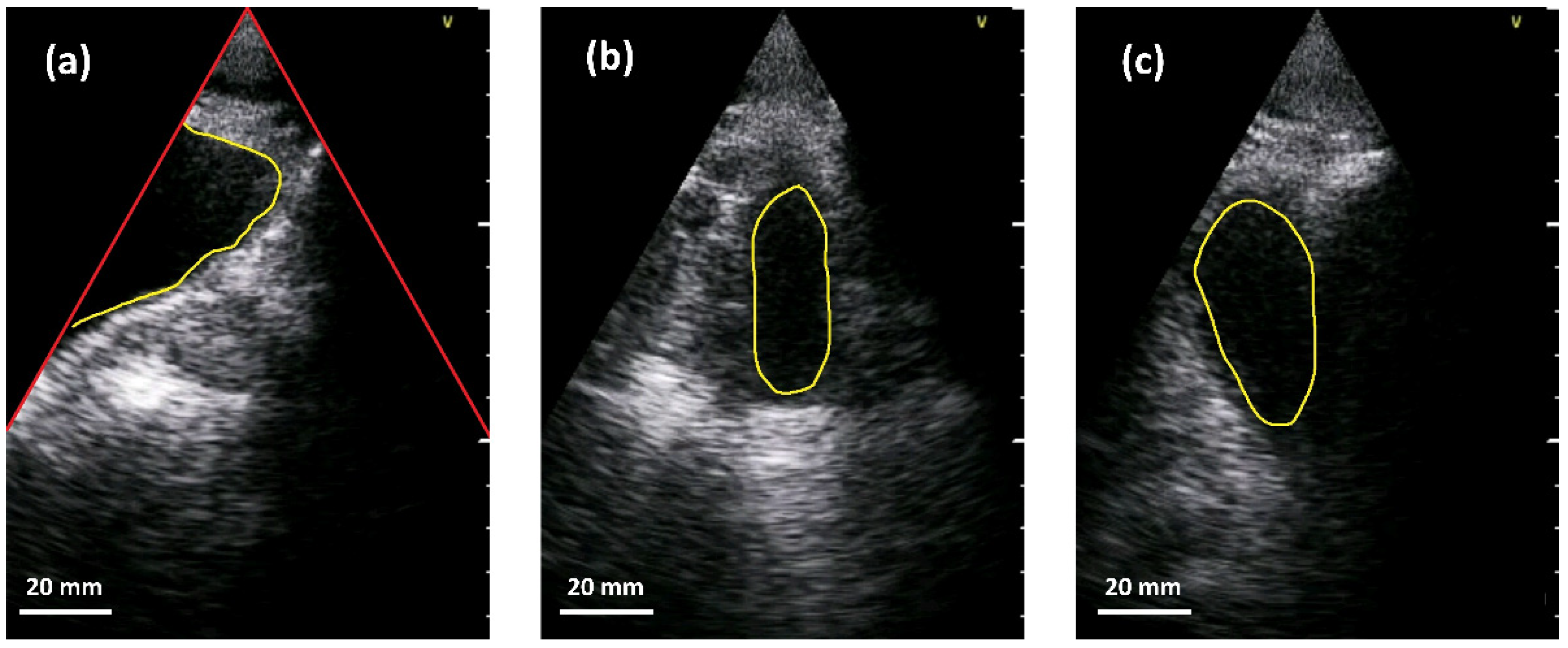 Sensors 21 06481 g004
