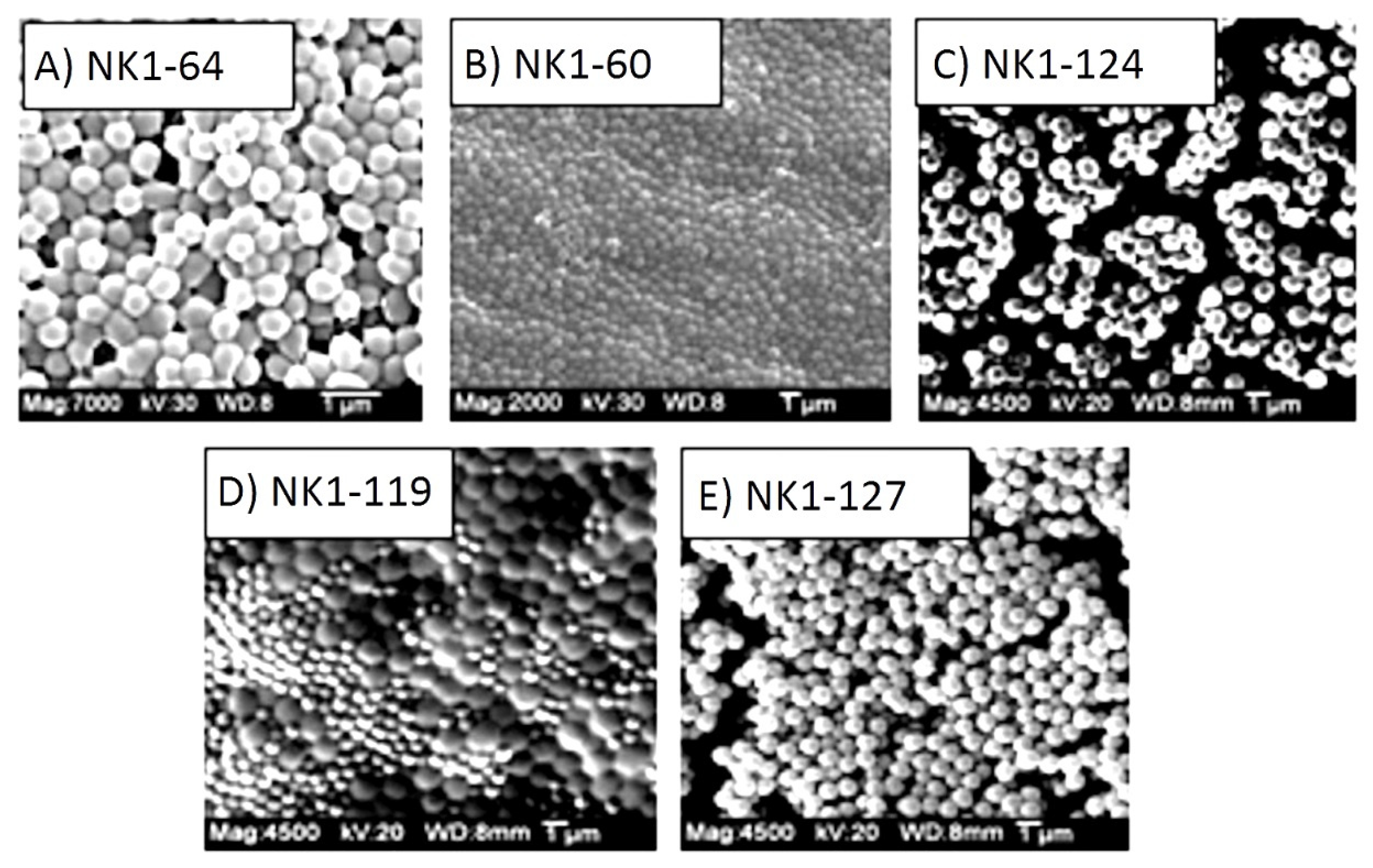 Sensors 21 06493 g001