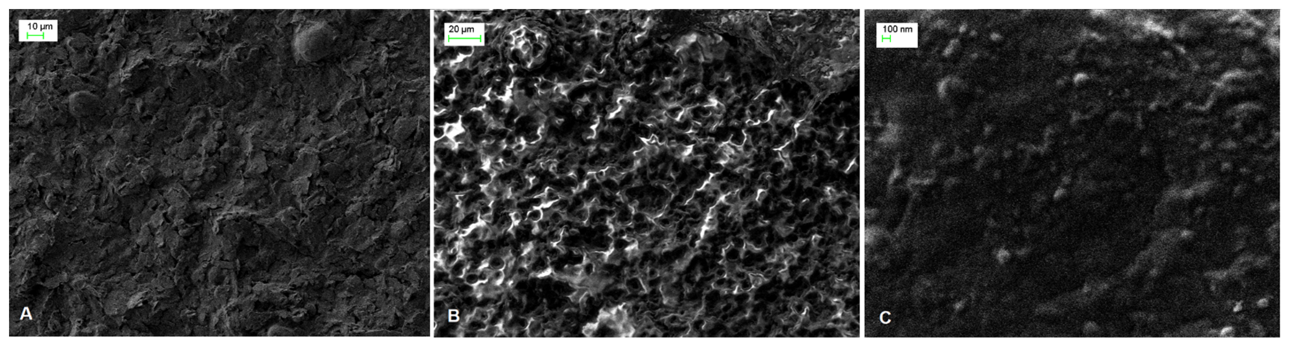 Sensors 21 06510 g001