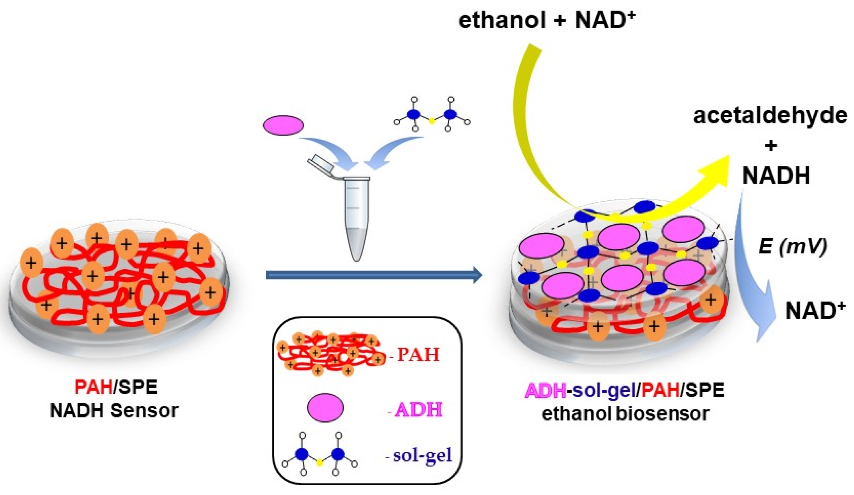 Sensors 21 06510 sch001