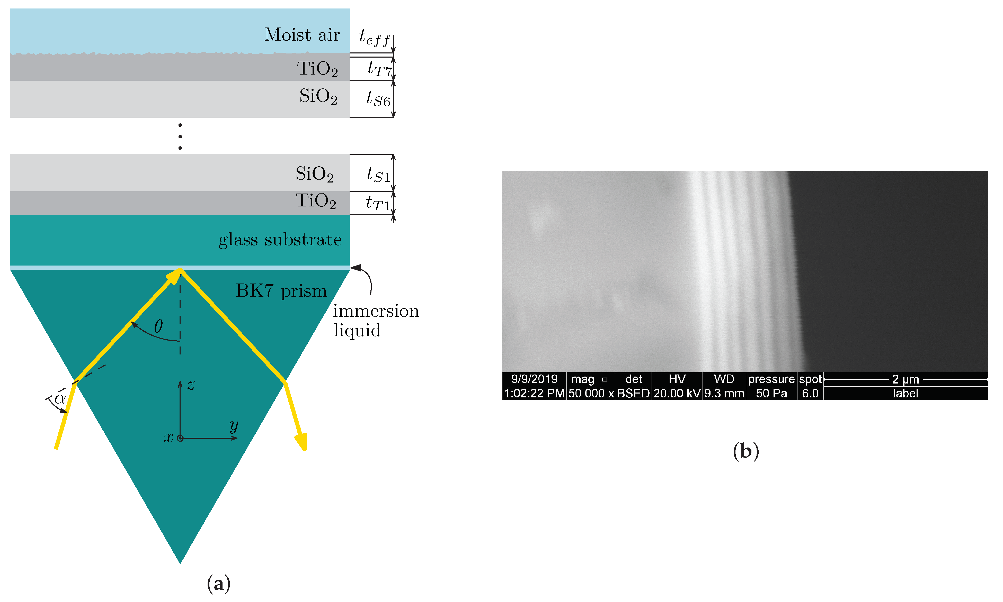 Sensors 21 06535 g001