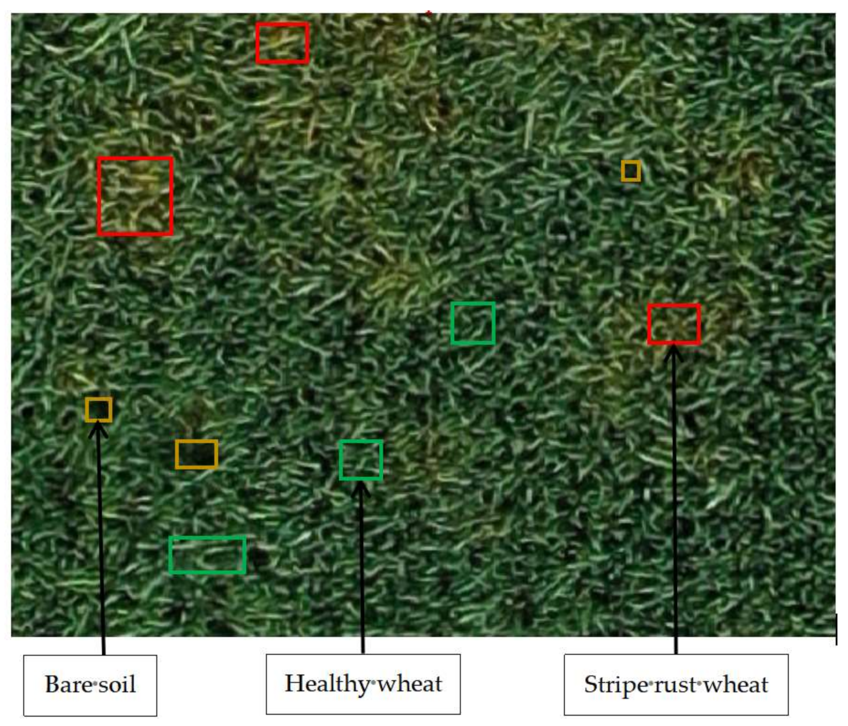 Sensors 21 06540 g002