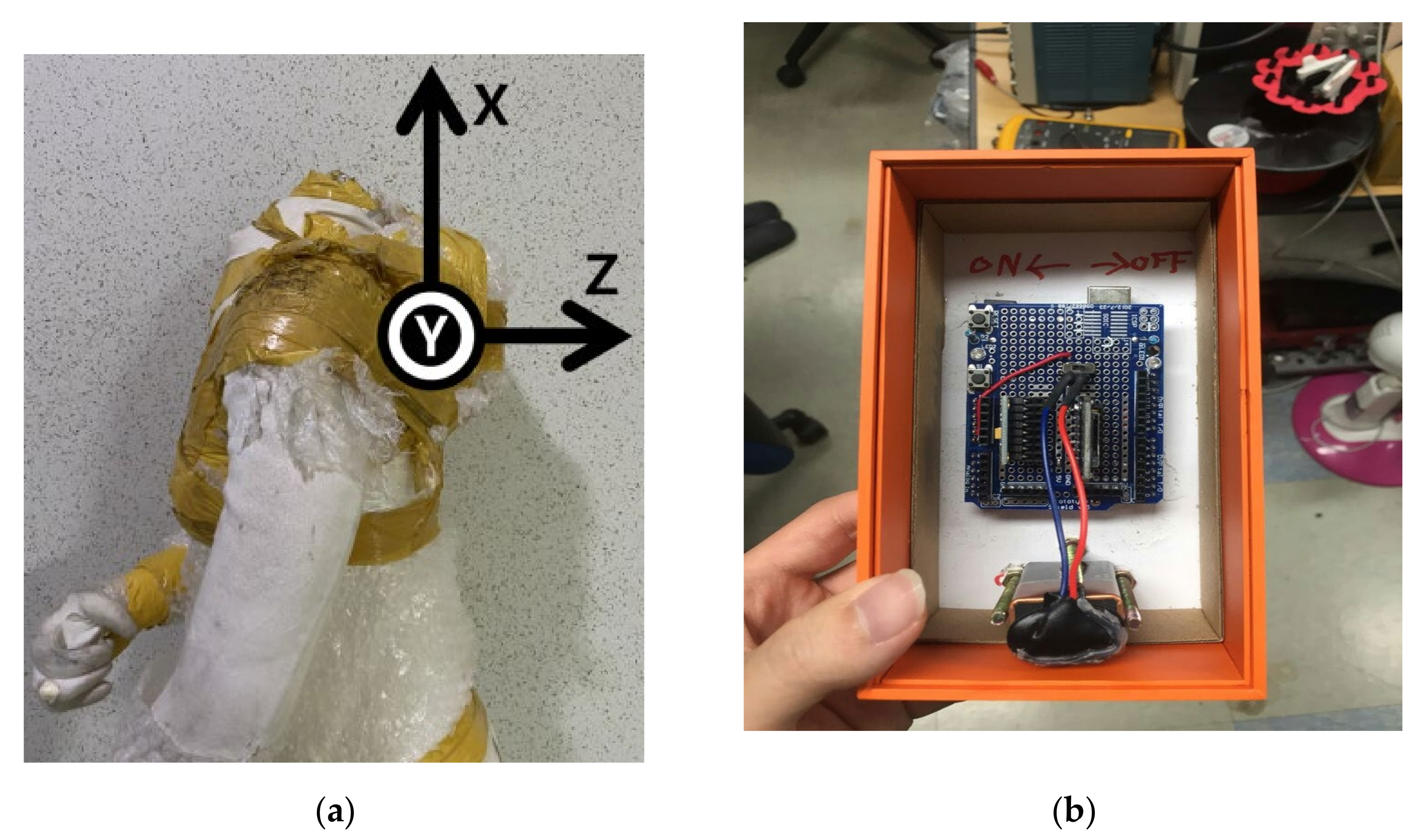 Sensors 21 06541 g002