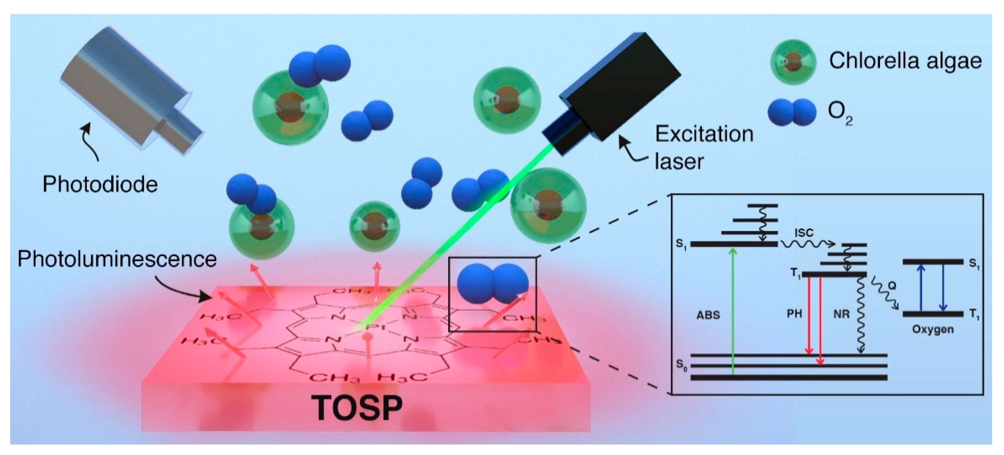 Sensors 21 06553 g003