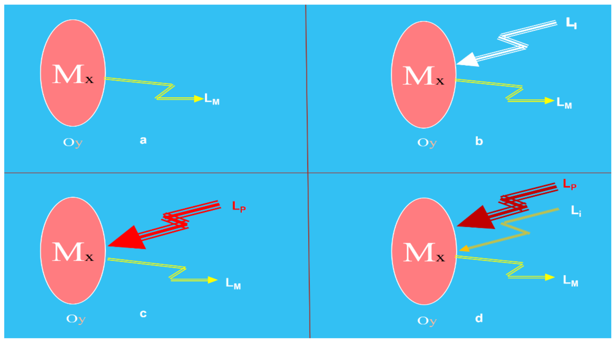 Sensors 21 06562 g001