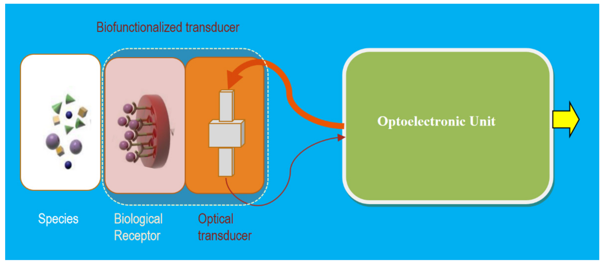Sensors 21 06562 g010