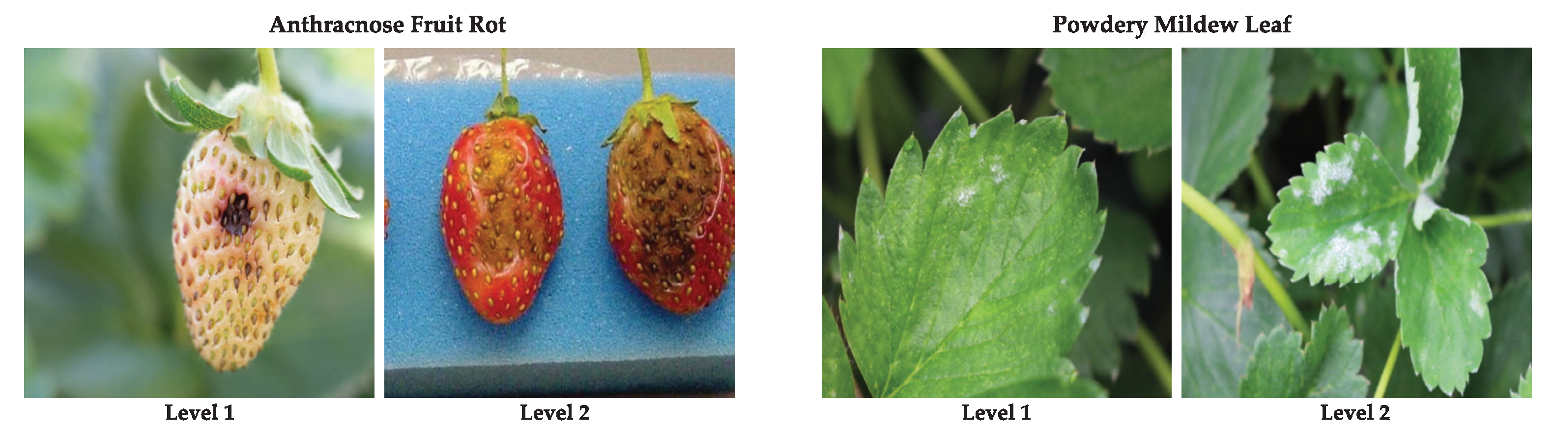 Sensors 21 06565 g008