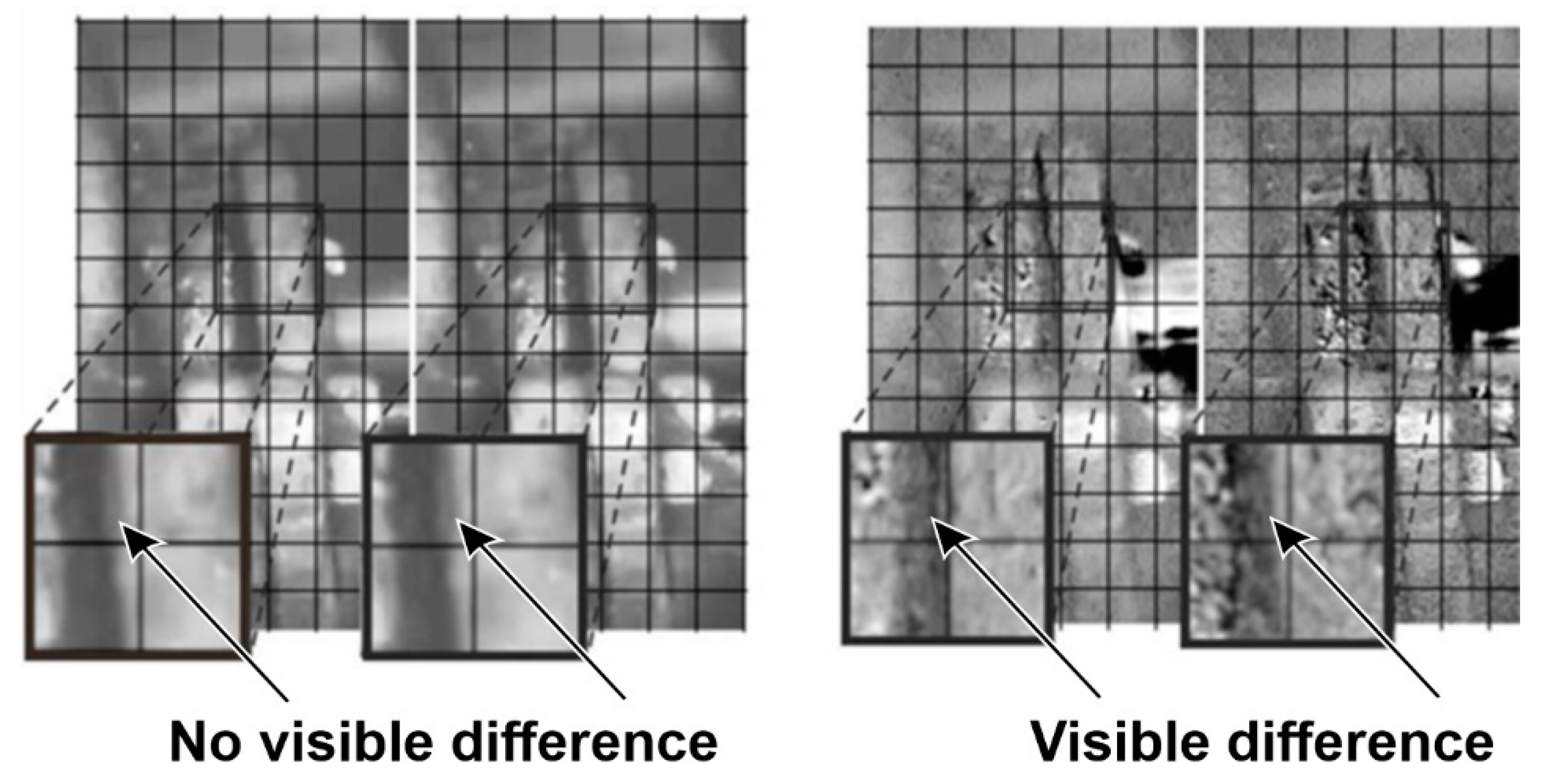 Sensors 21 06572 g006
