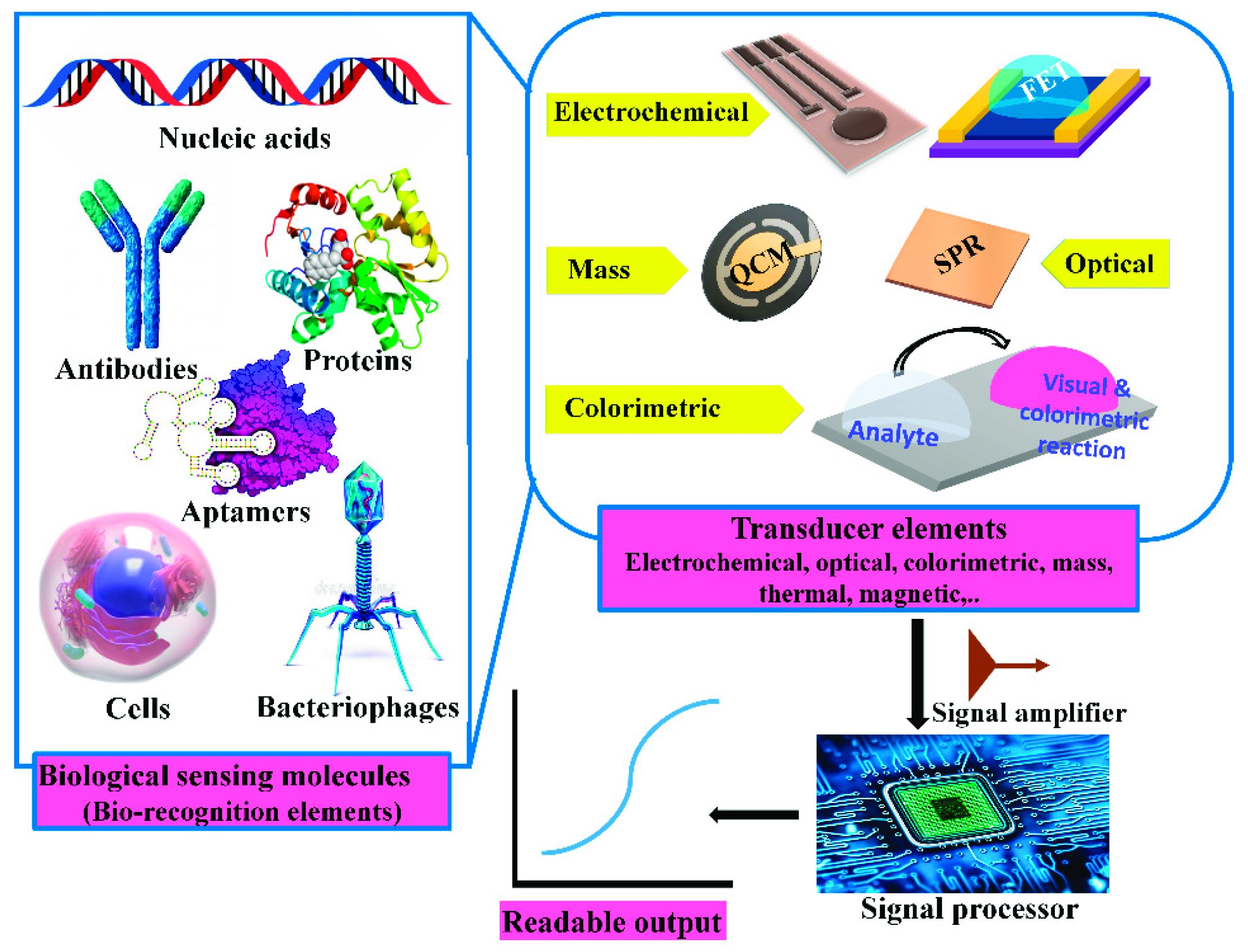 Sensors 21 06578 g006