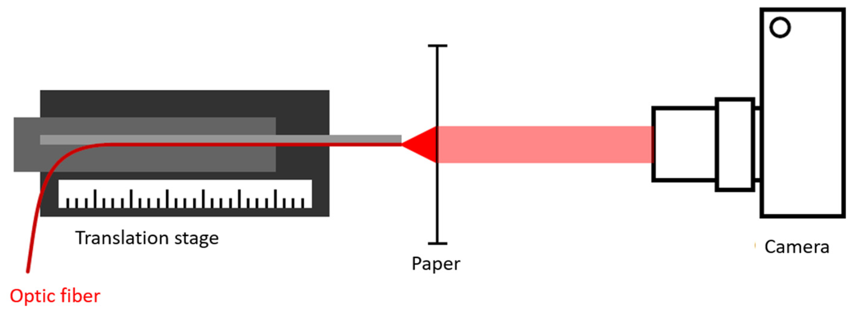 Sensors 21 06589 g004
