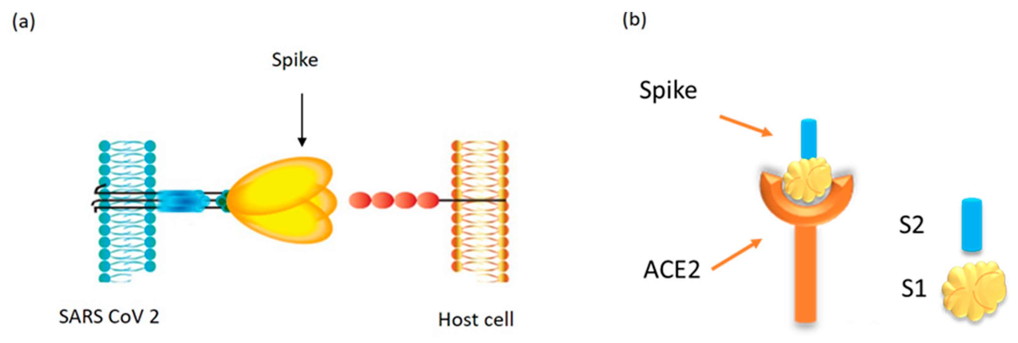Sensors 21 06596 g001