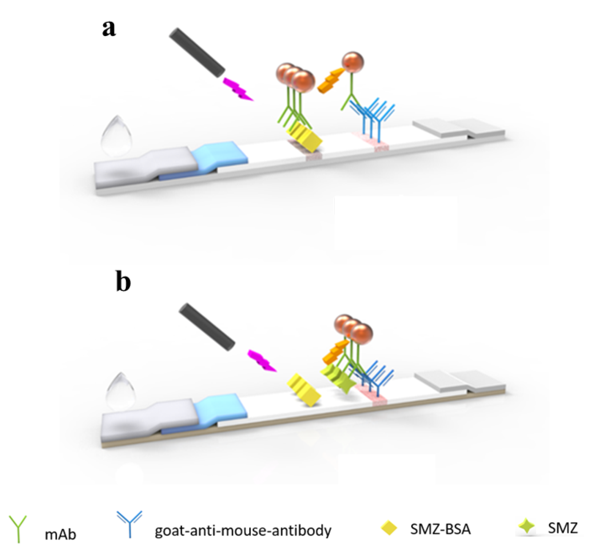 Sensors 21 06604 sch001