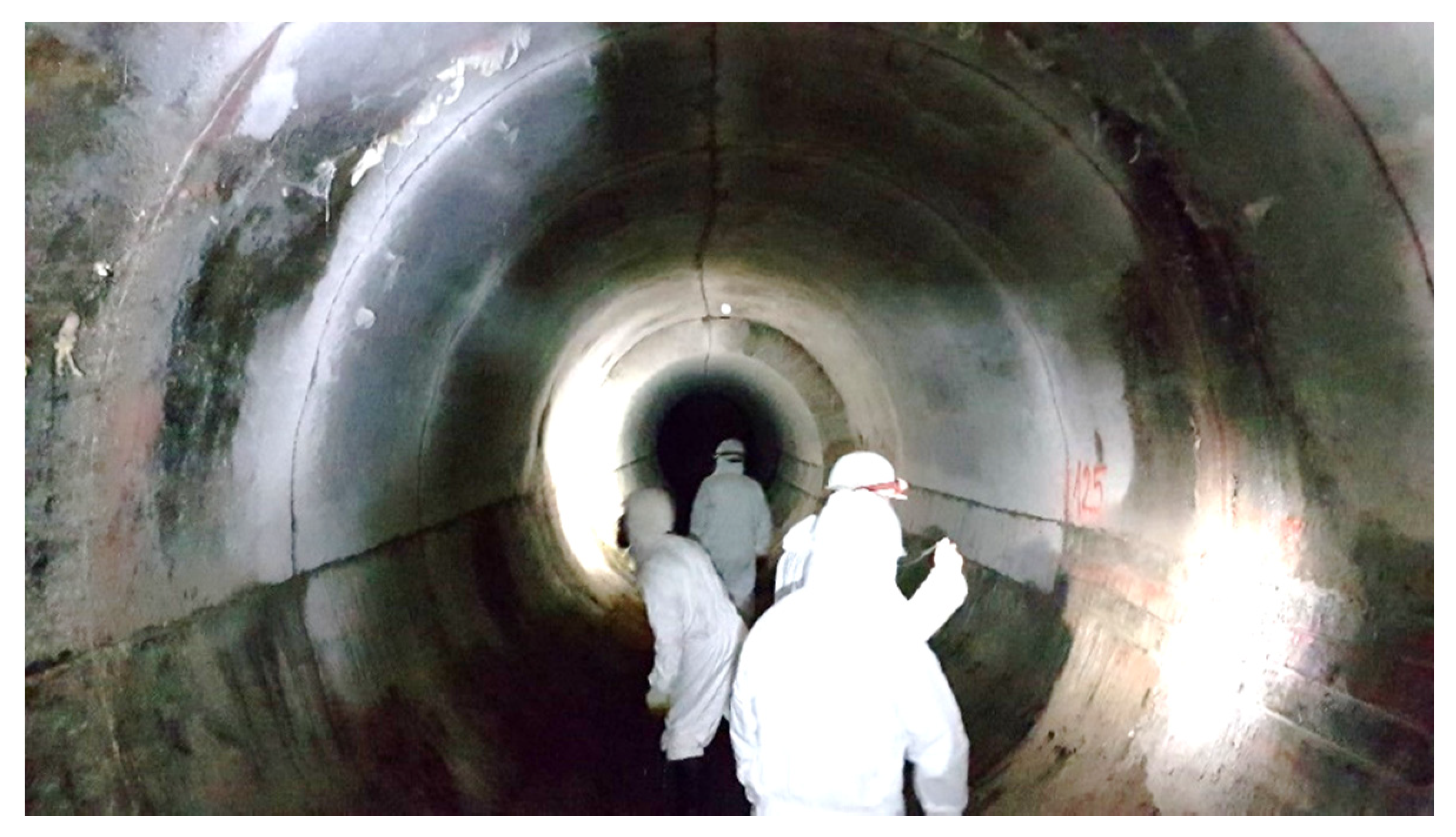 Sensors 21 06607 g001