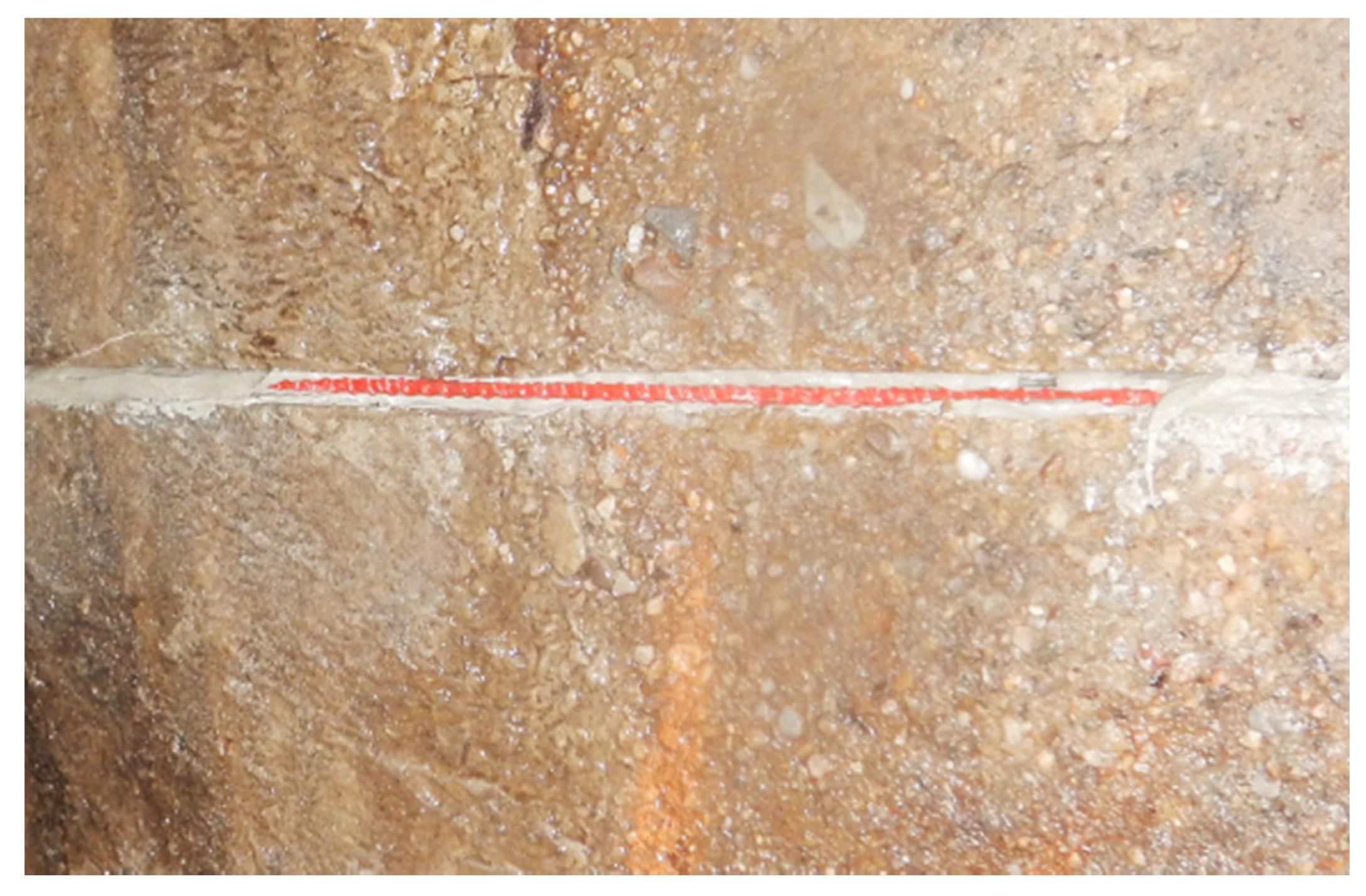 Sensors 21 06607 g011