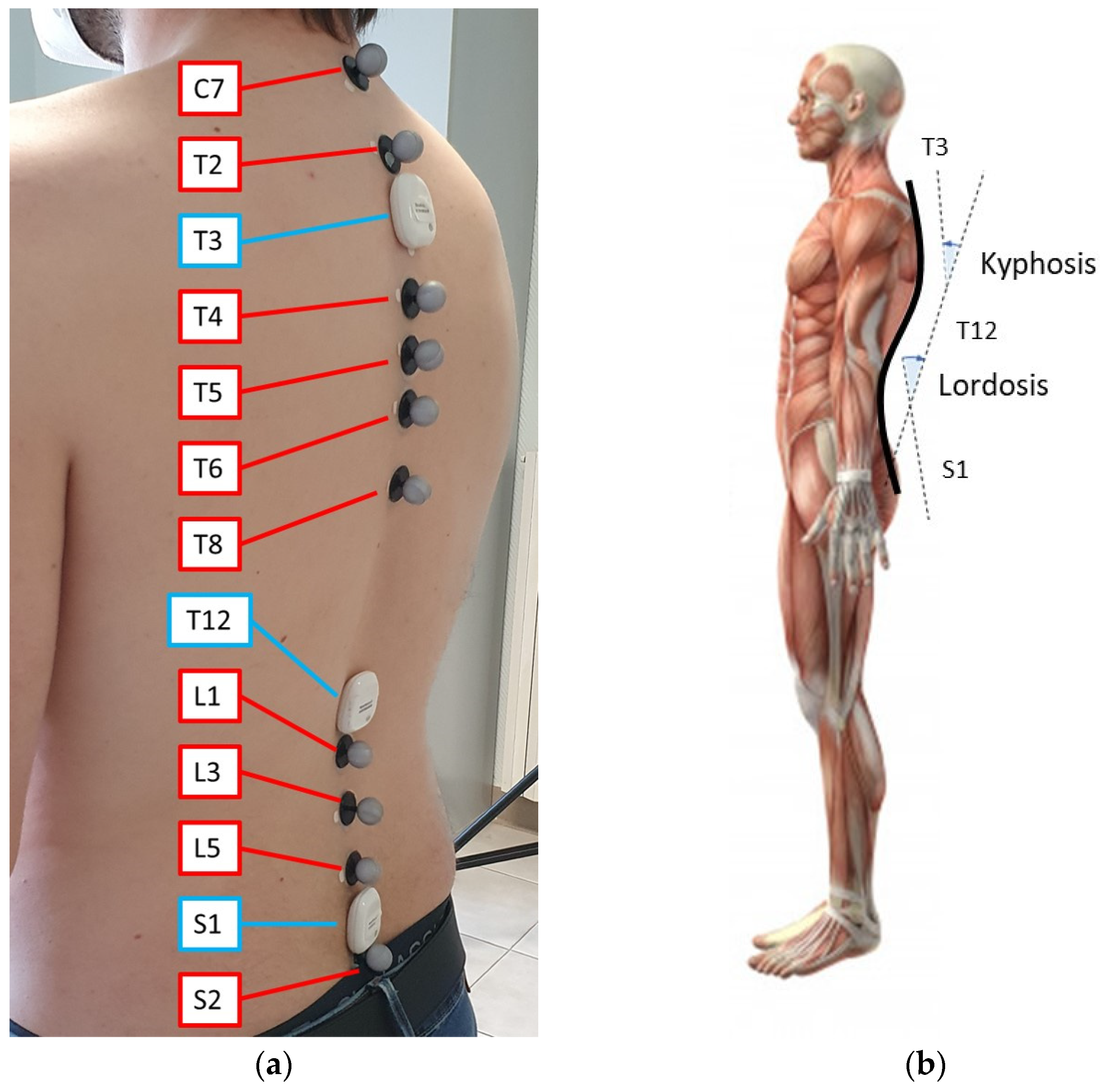 Sensors 21 06610 g003