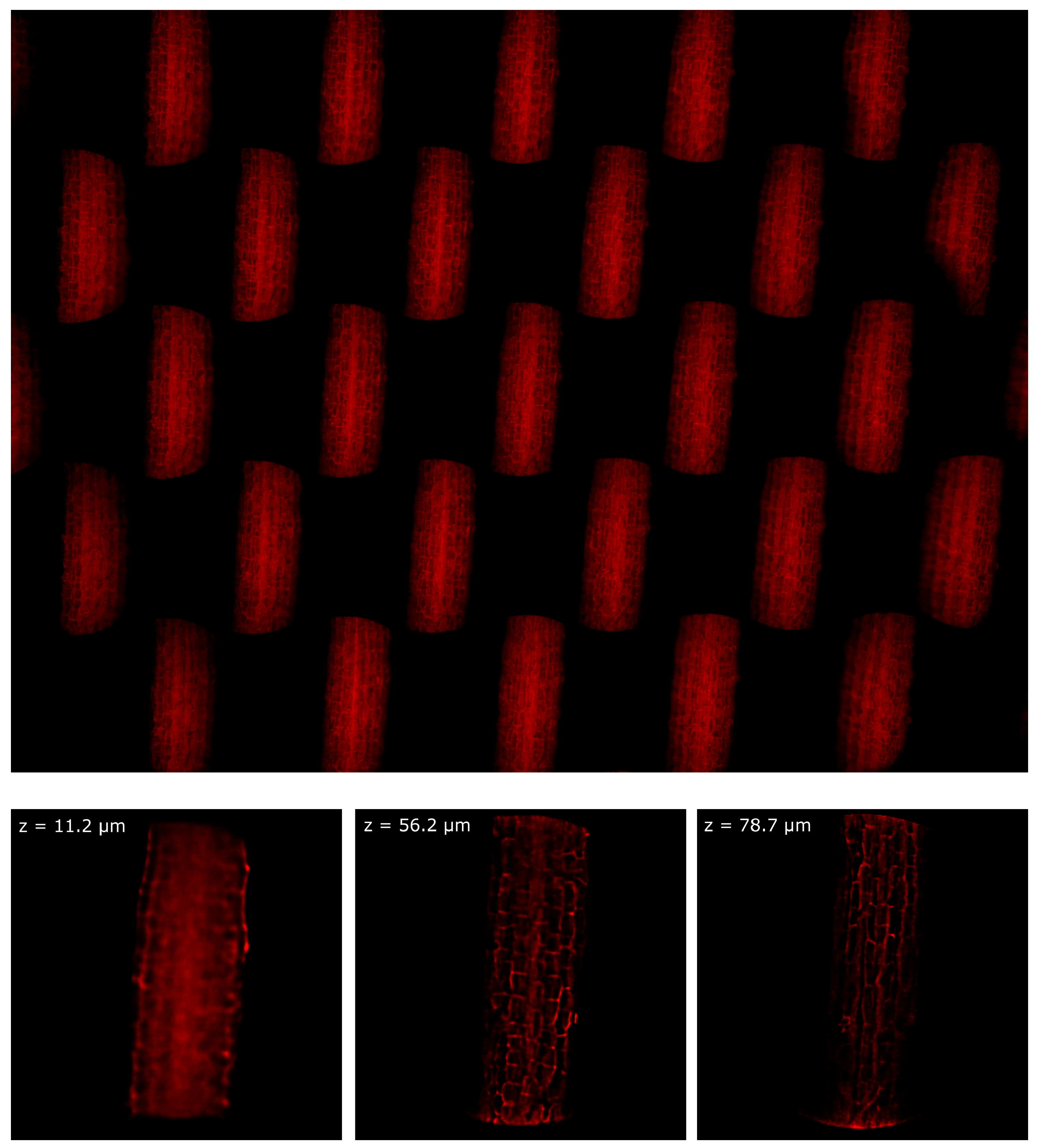 Sensors 21 06619 g009