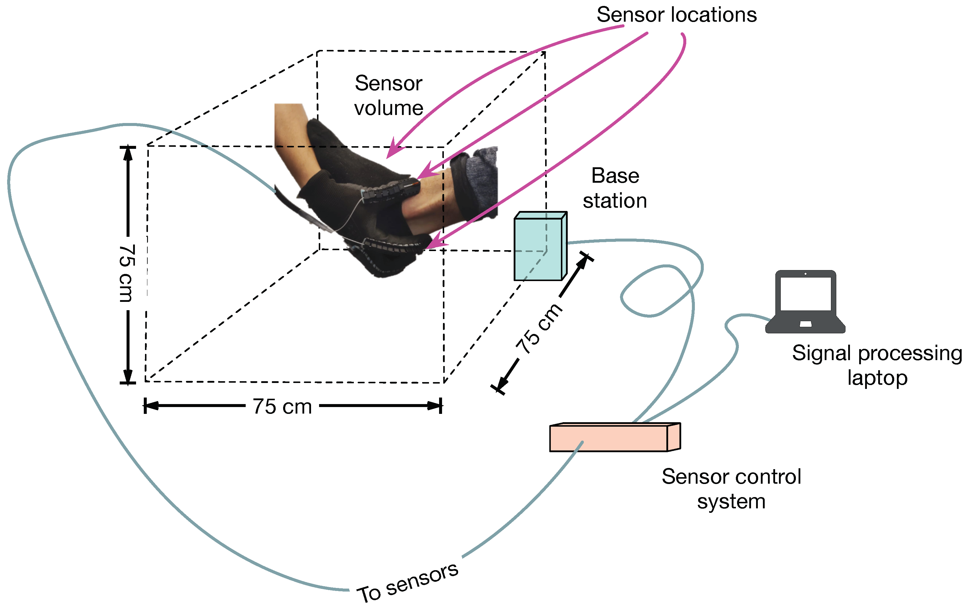 Sensors 21 06631 g001