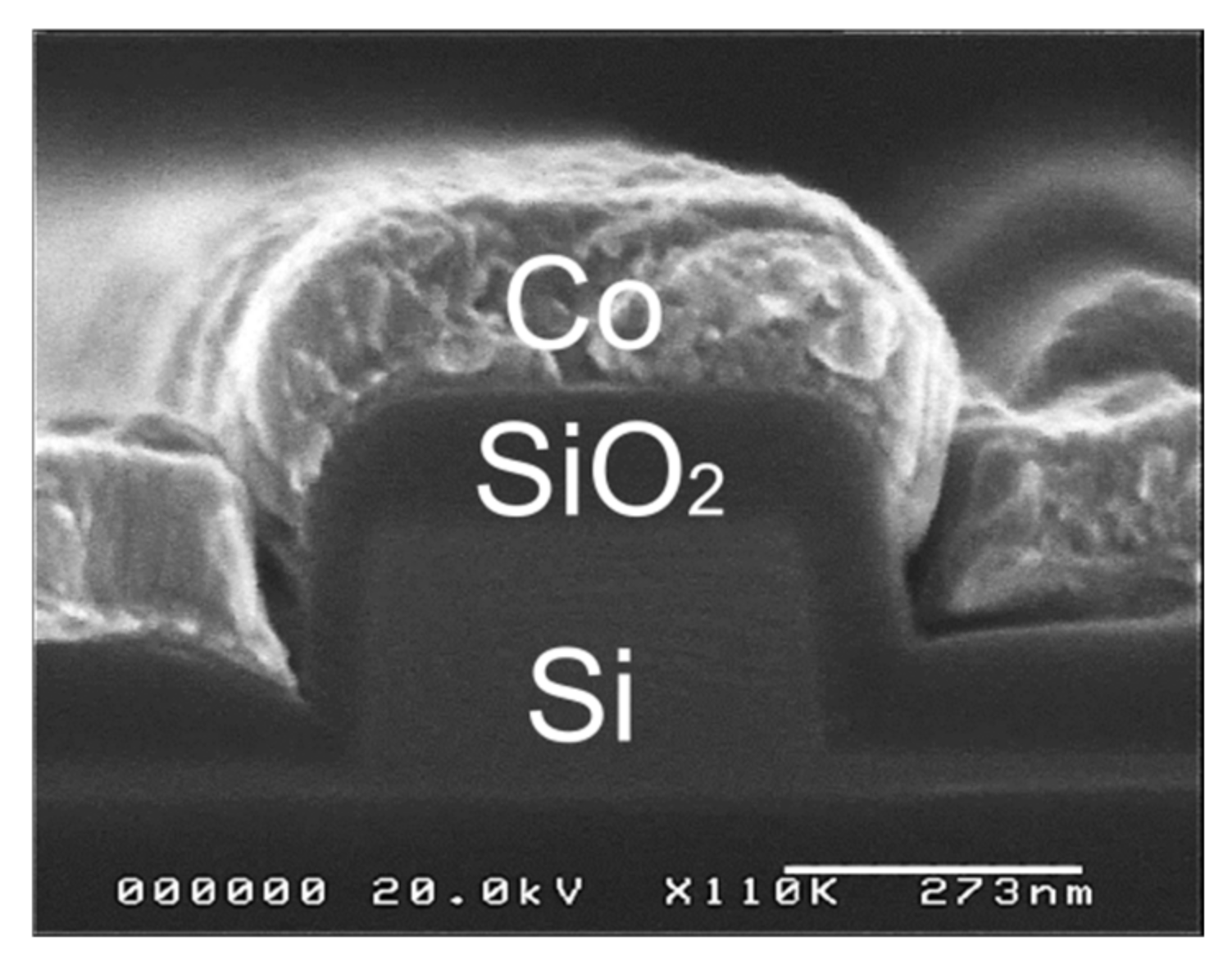 Sensors 21 06634 g002