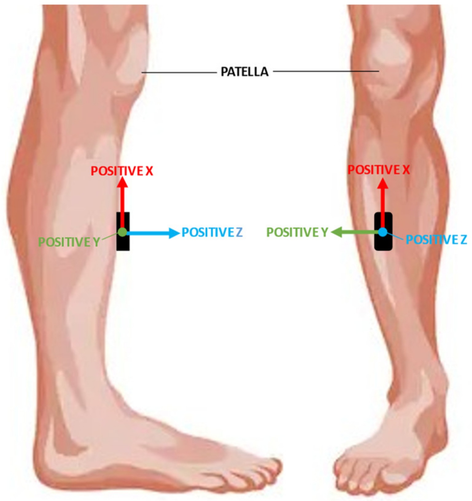 Sensors 21 06636 g003 Sensors 21 06636 g003