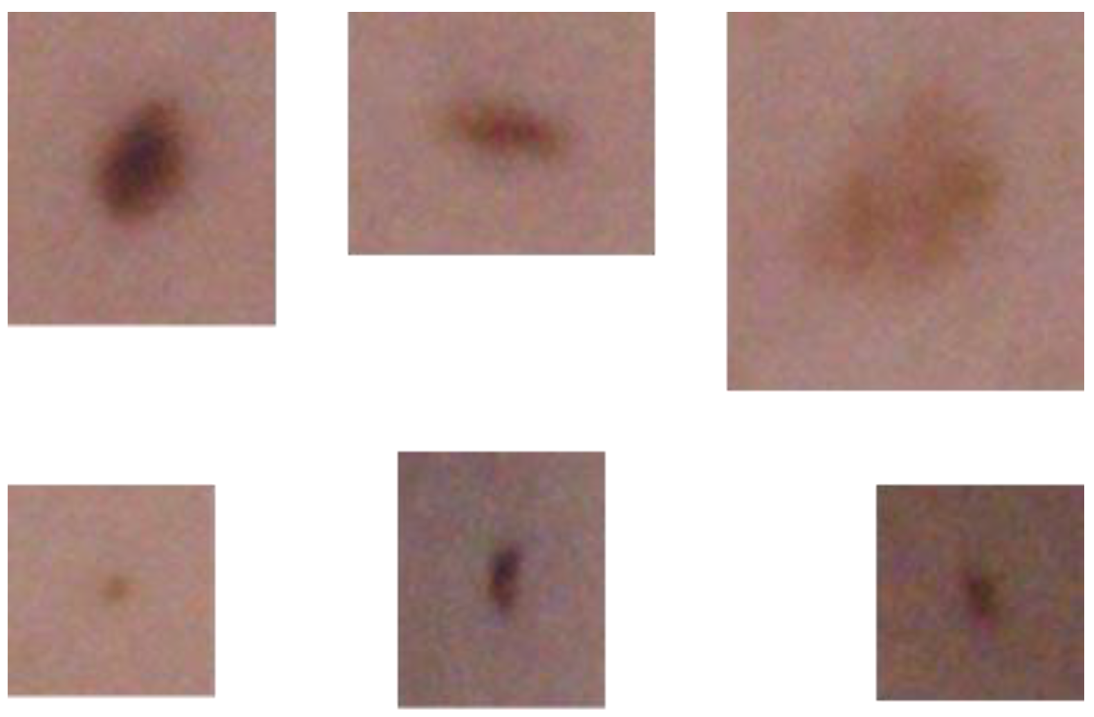 Sensors 21 06639 g005