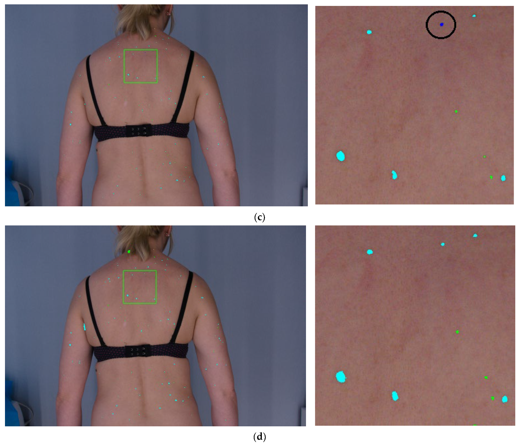 Sensors 21 06639 g012b