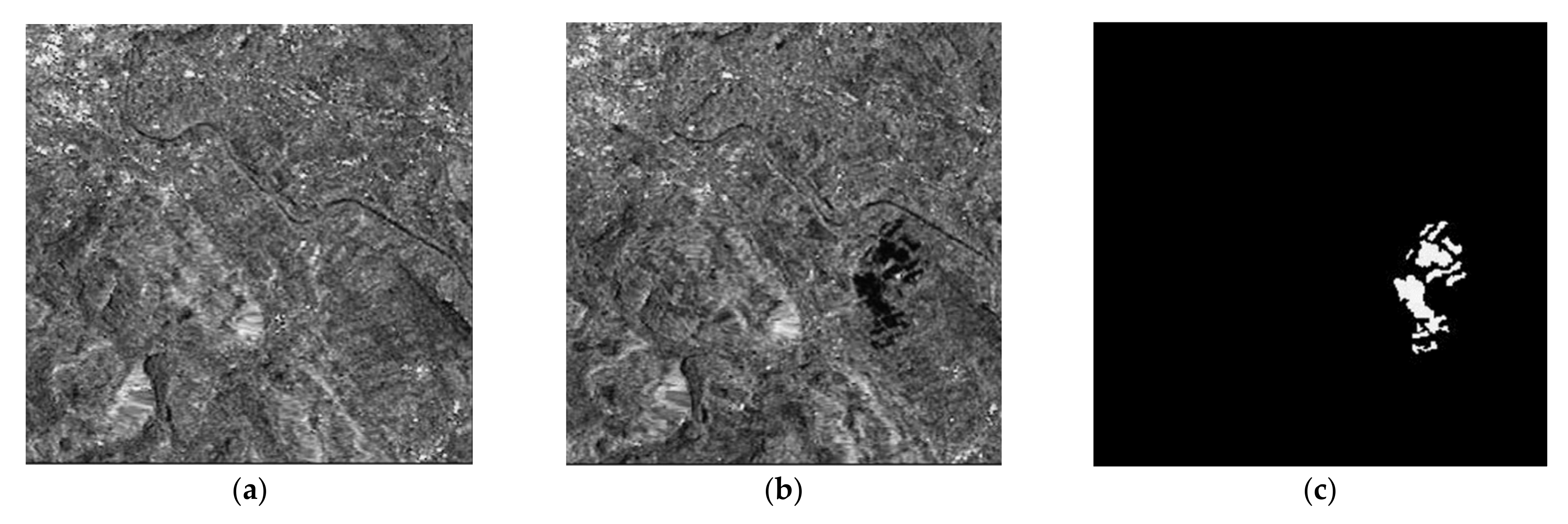 Sensors 21 06645 g004