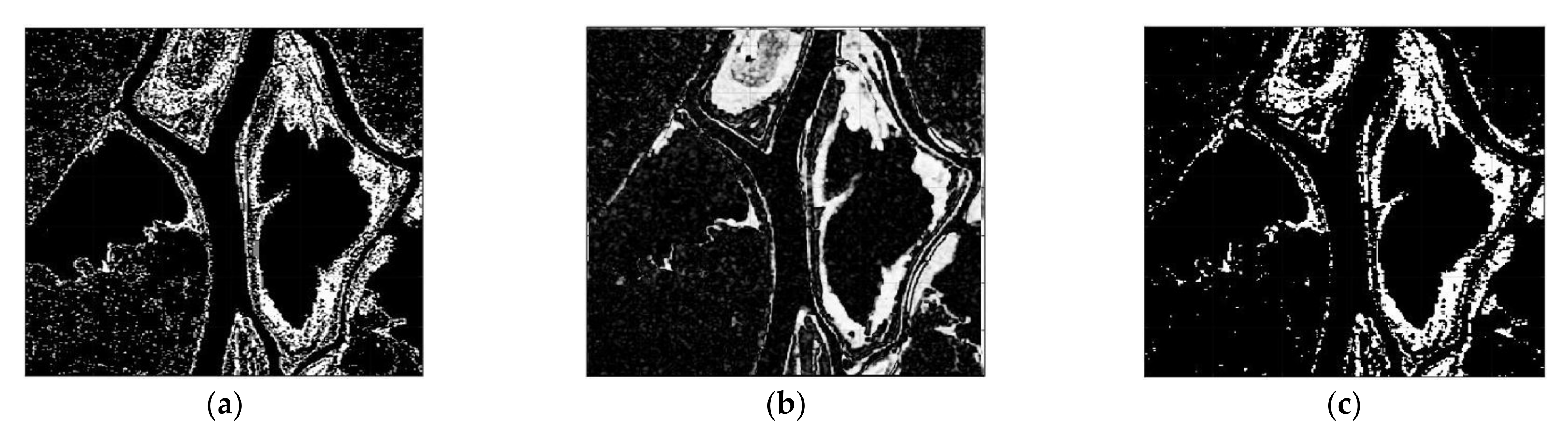 Sensors 21 06645 g008a