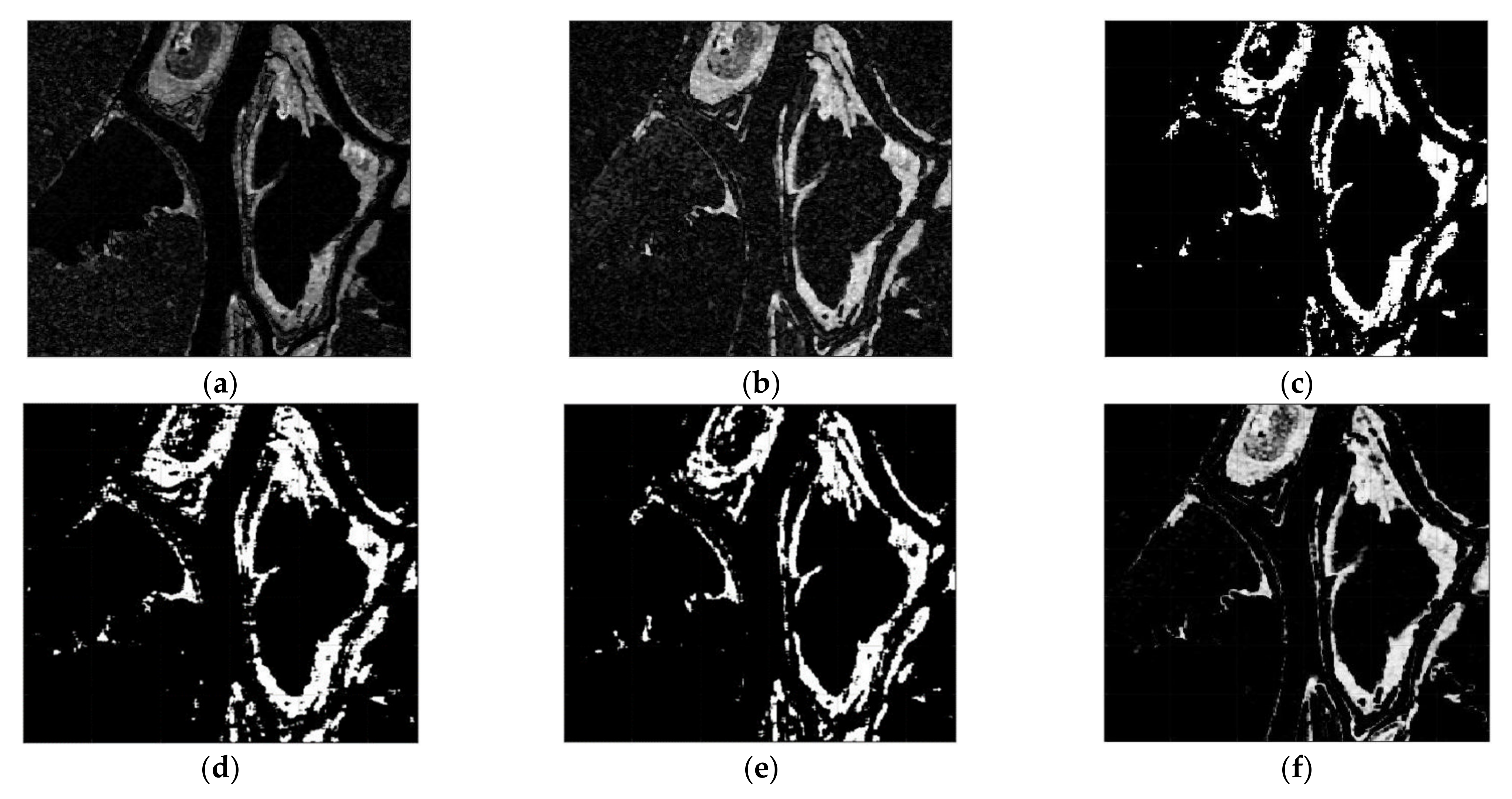 Sensors 21 06645 g011