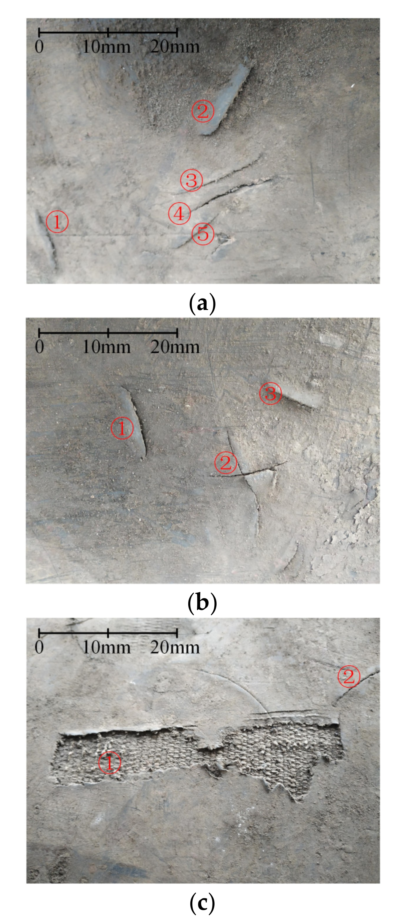 Sensors 21 06650 g011