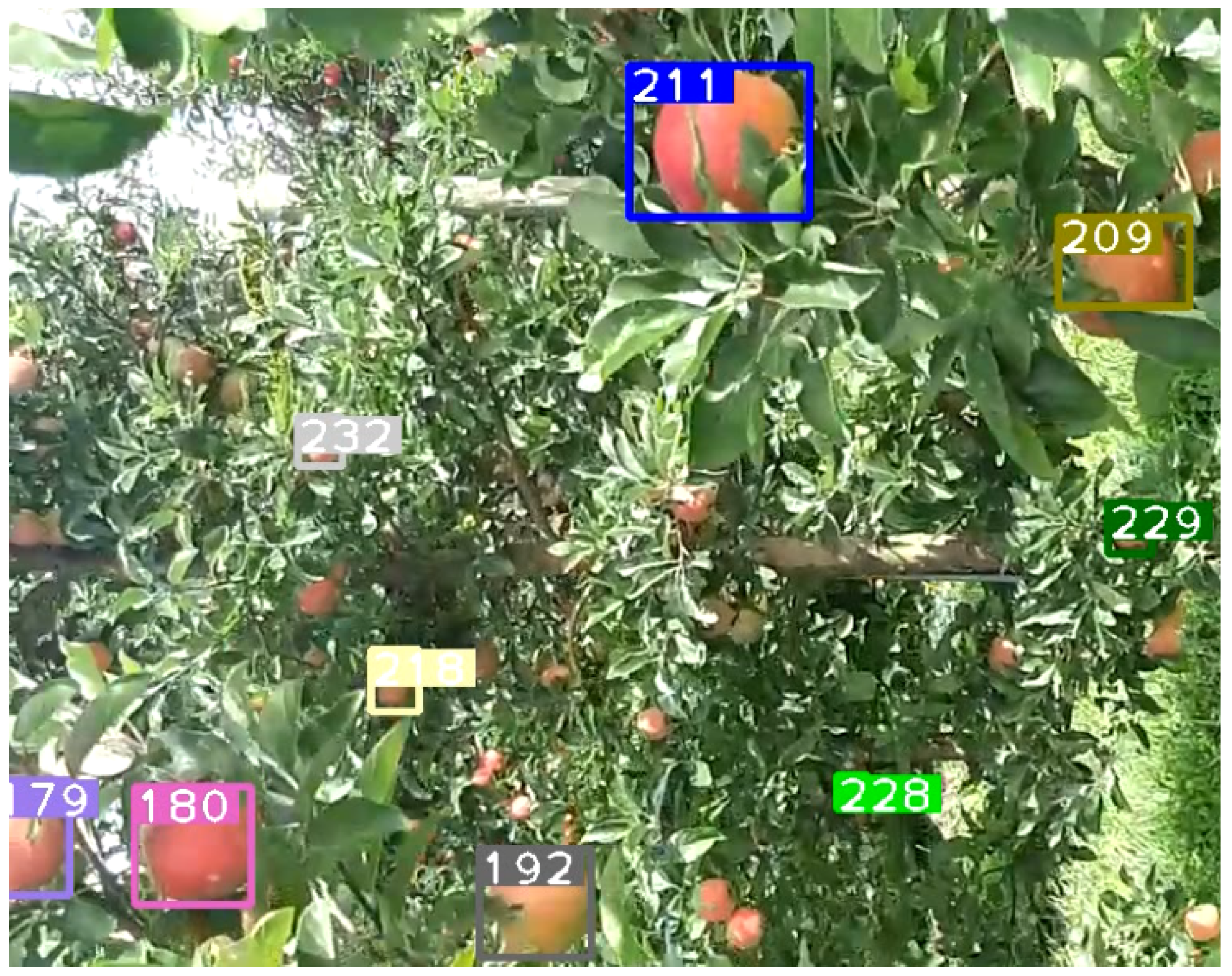 Sensors 21 06657 g004