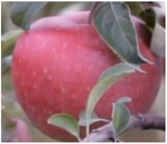 Sensors 21 06657 g005